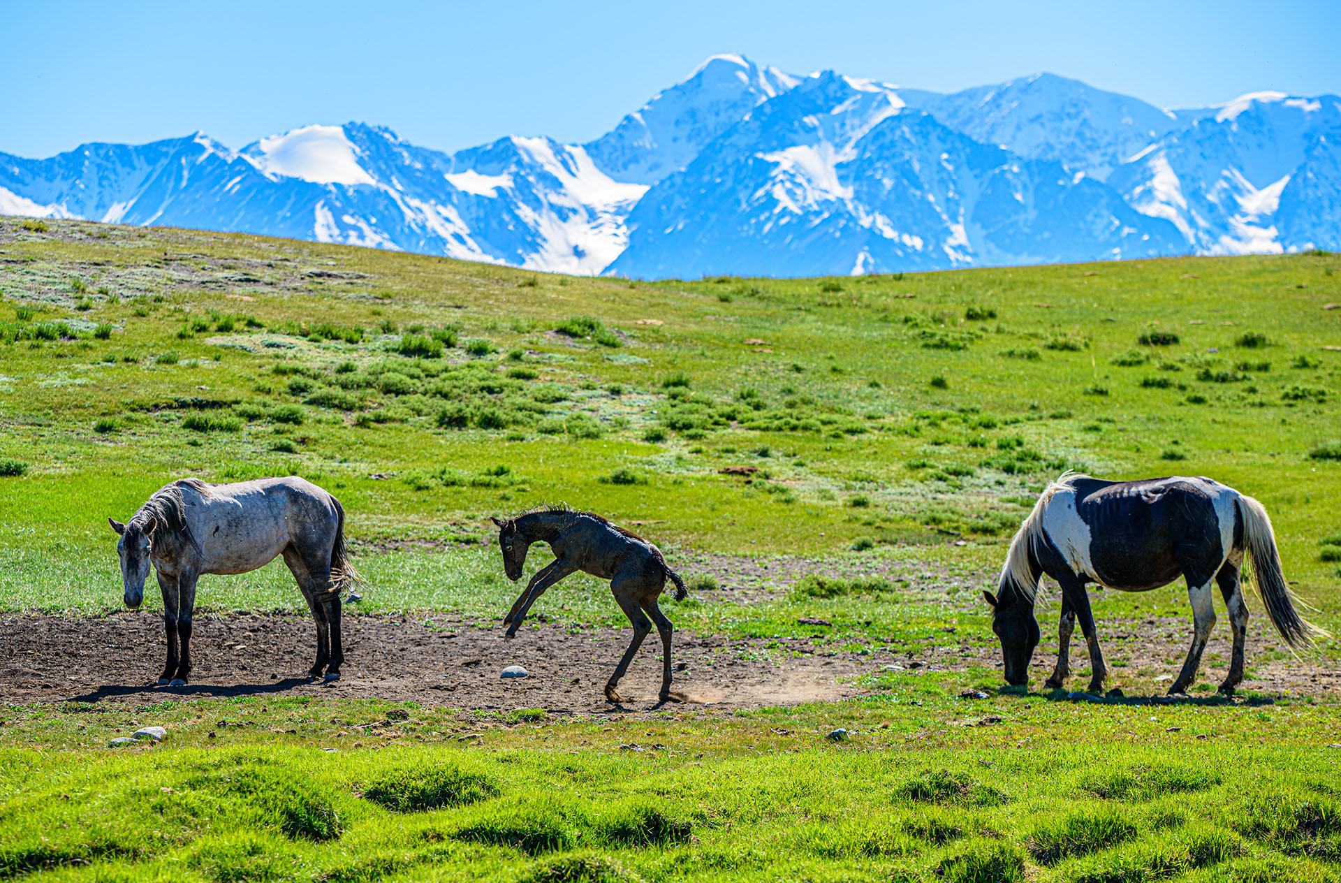 Золотая осень Алтая (54/58)