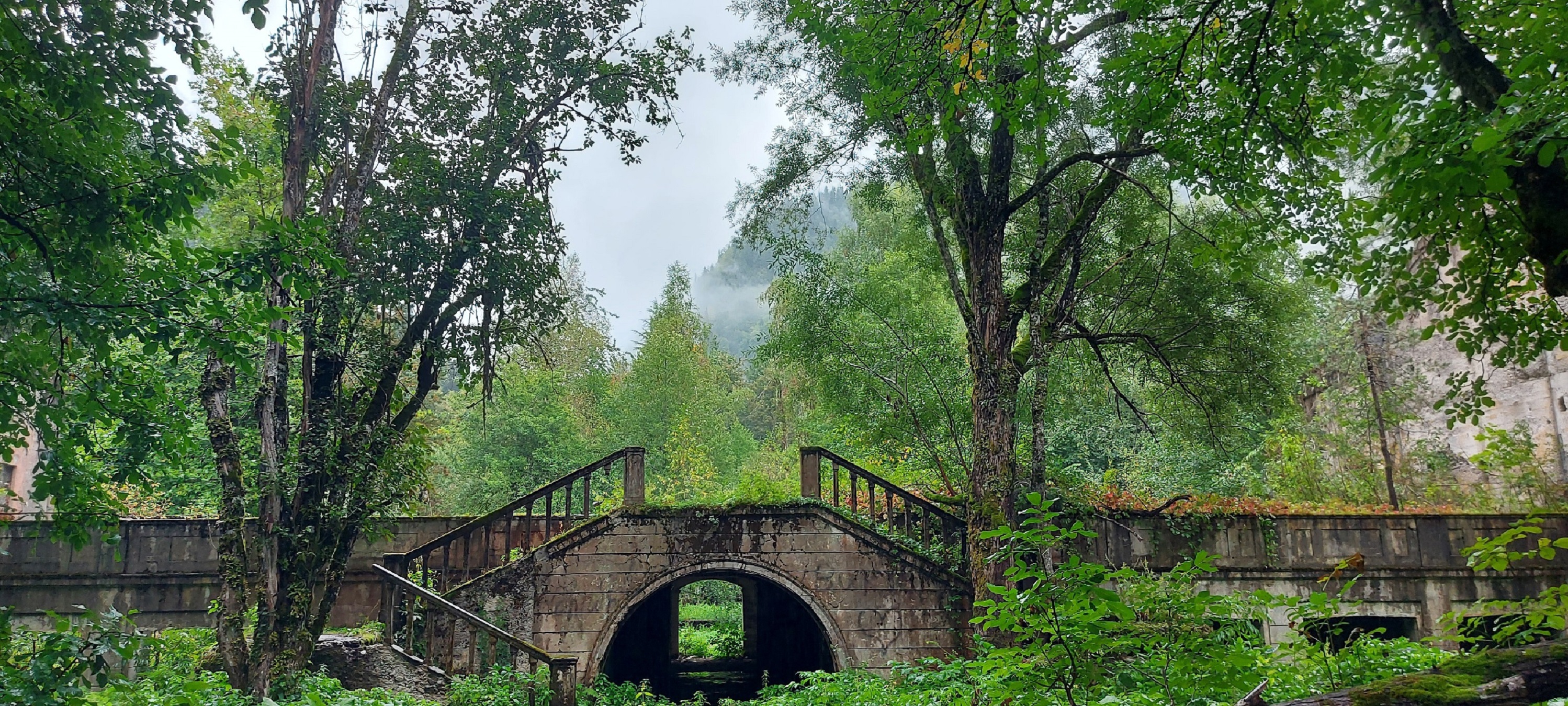 Разнообразная Абхазия ! 3 дня (22/36)