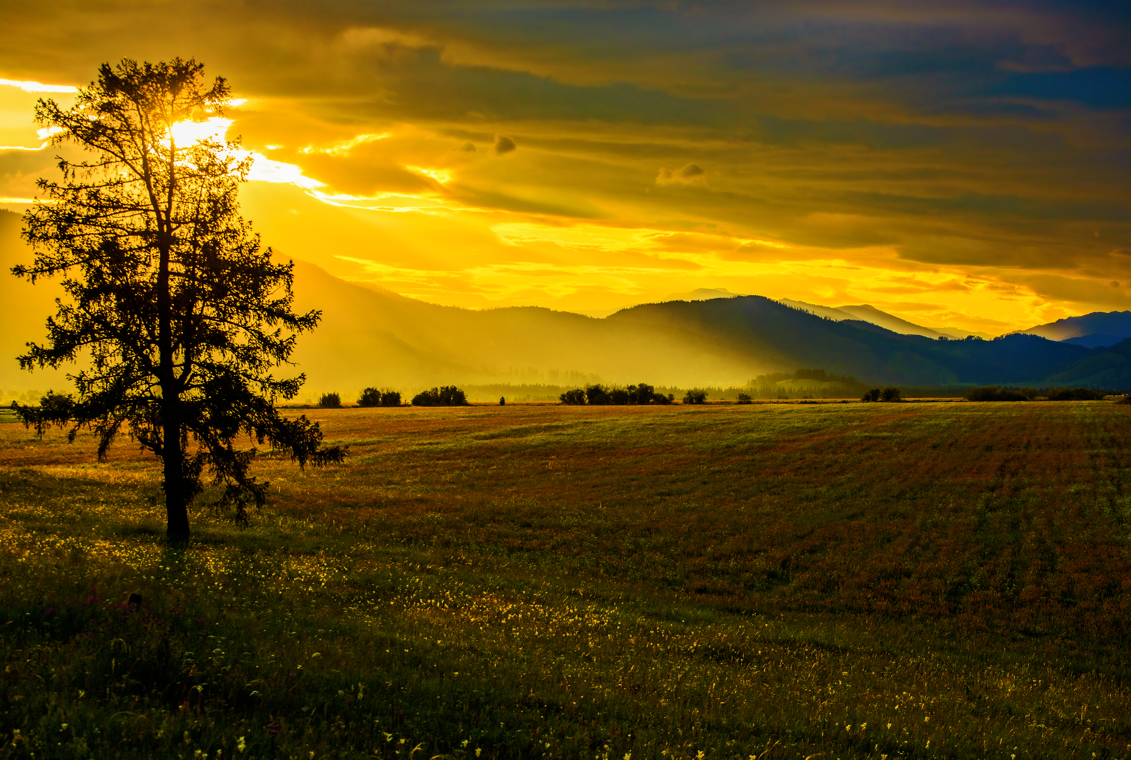 Горный Алтай. Мультинские озера (23/50)