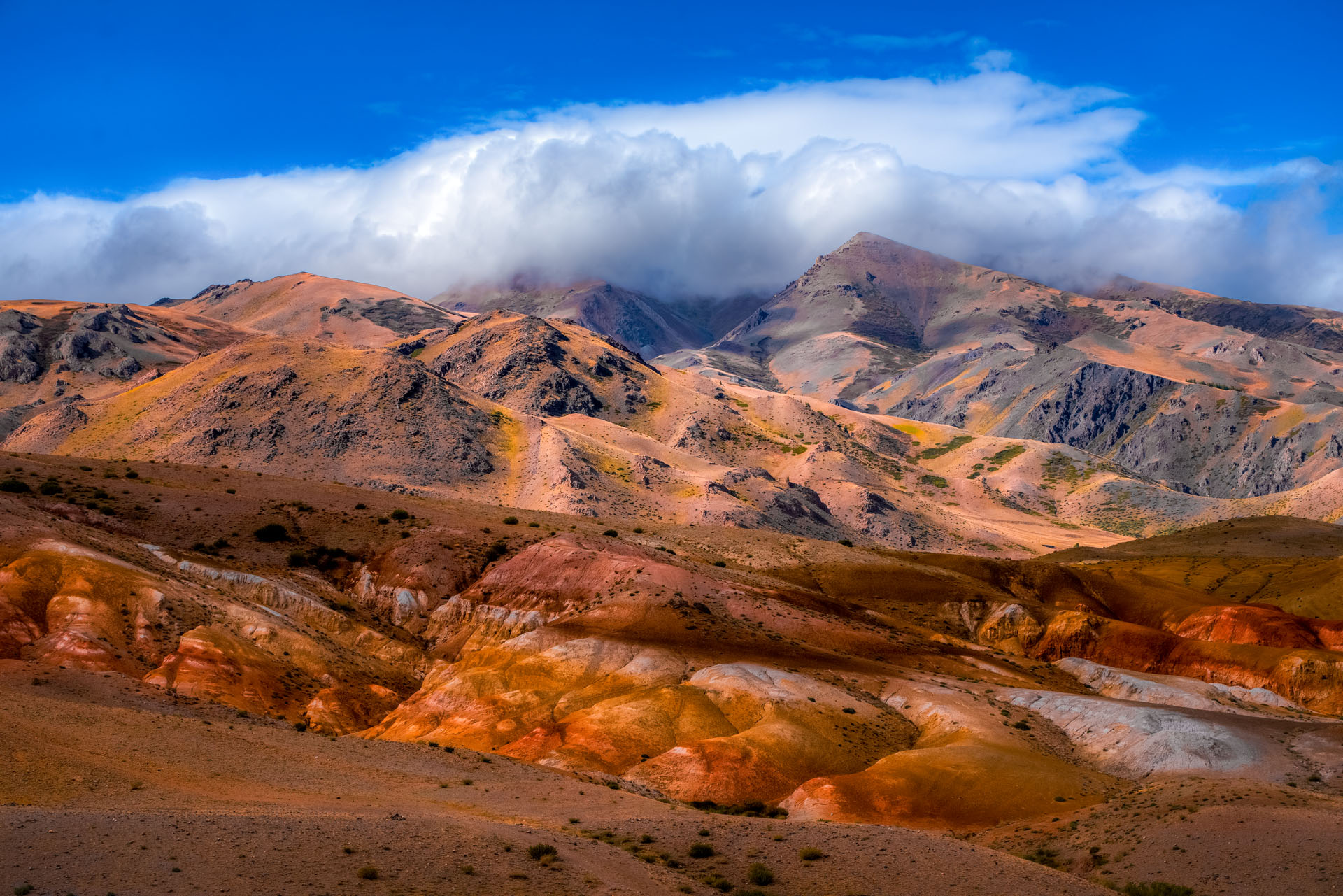 Золотая осень Алтая (46/58)
