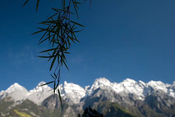 Чайное путешествие по провинции Юньнань с дегустацией знаменитых сортов чая (20/26)