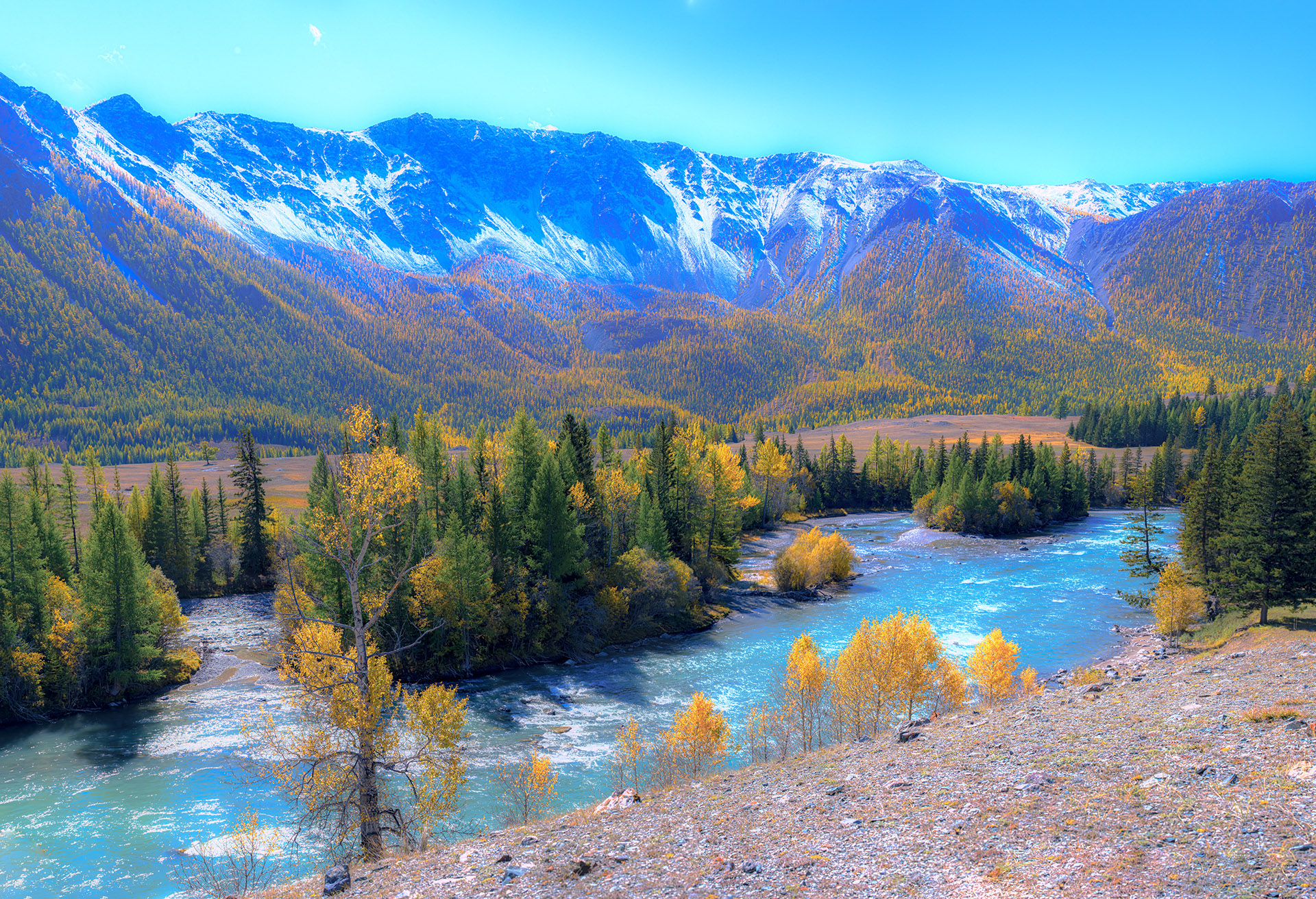 Золотая осень Алтая (35/58)