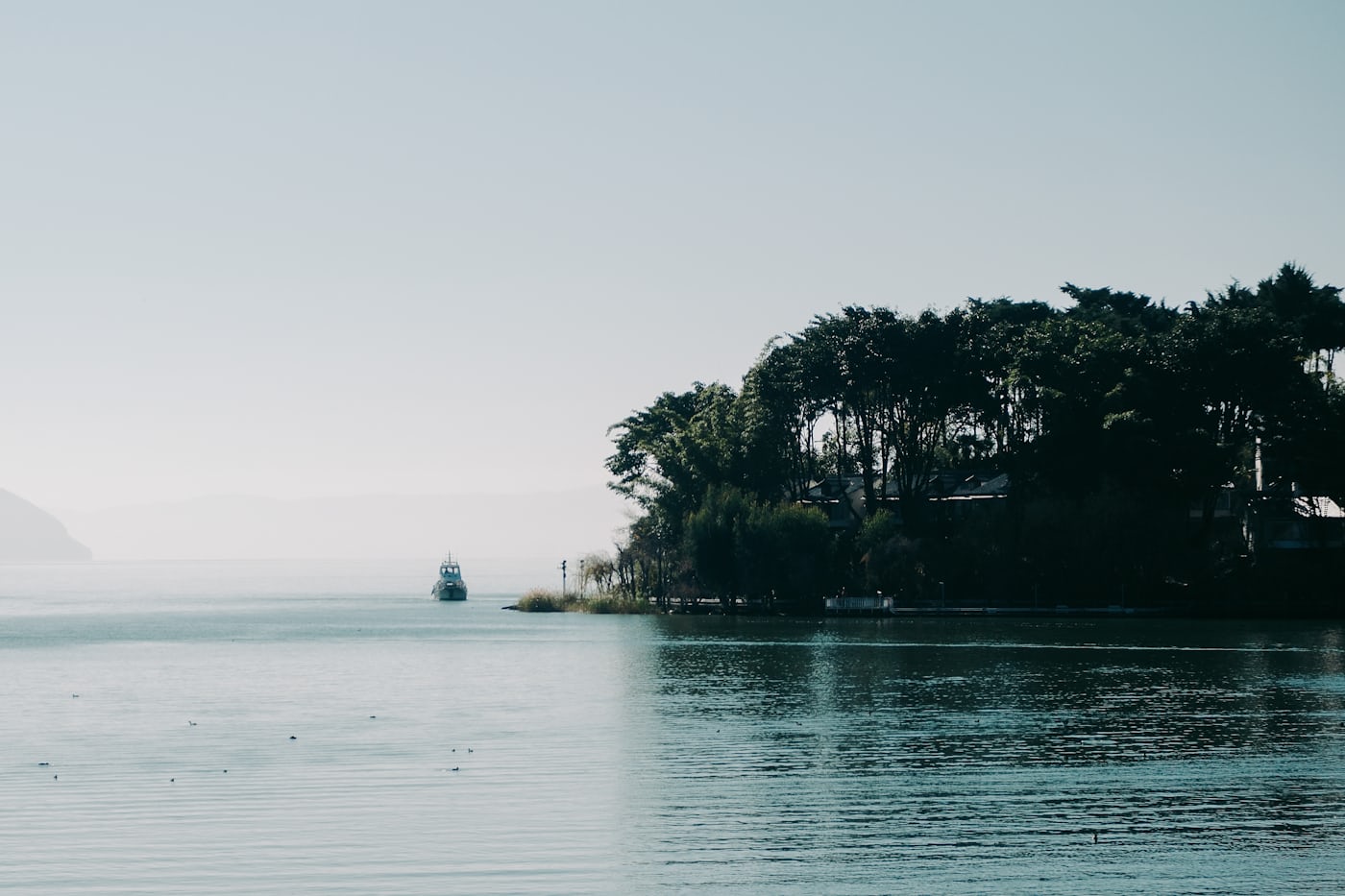 Чайное путешествие по провинции Юньнань с дегустацией знаменитых сортов чая (26/26)