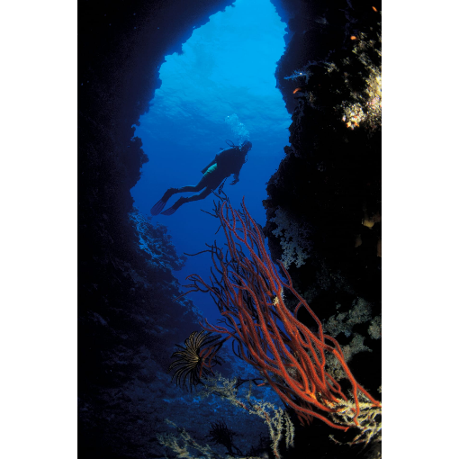 Сказочные острова Мальдивы за 1 день и 2 ночи (6/13)