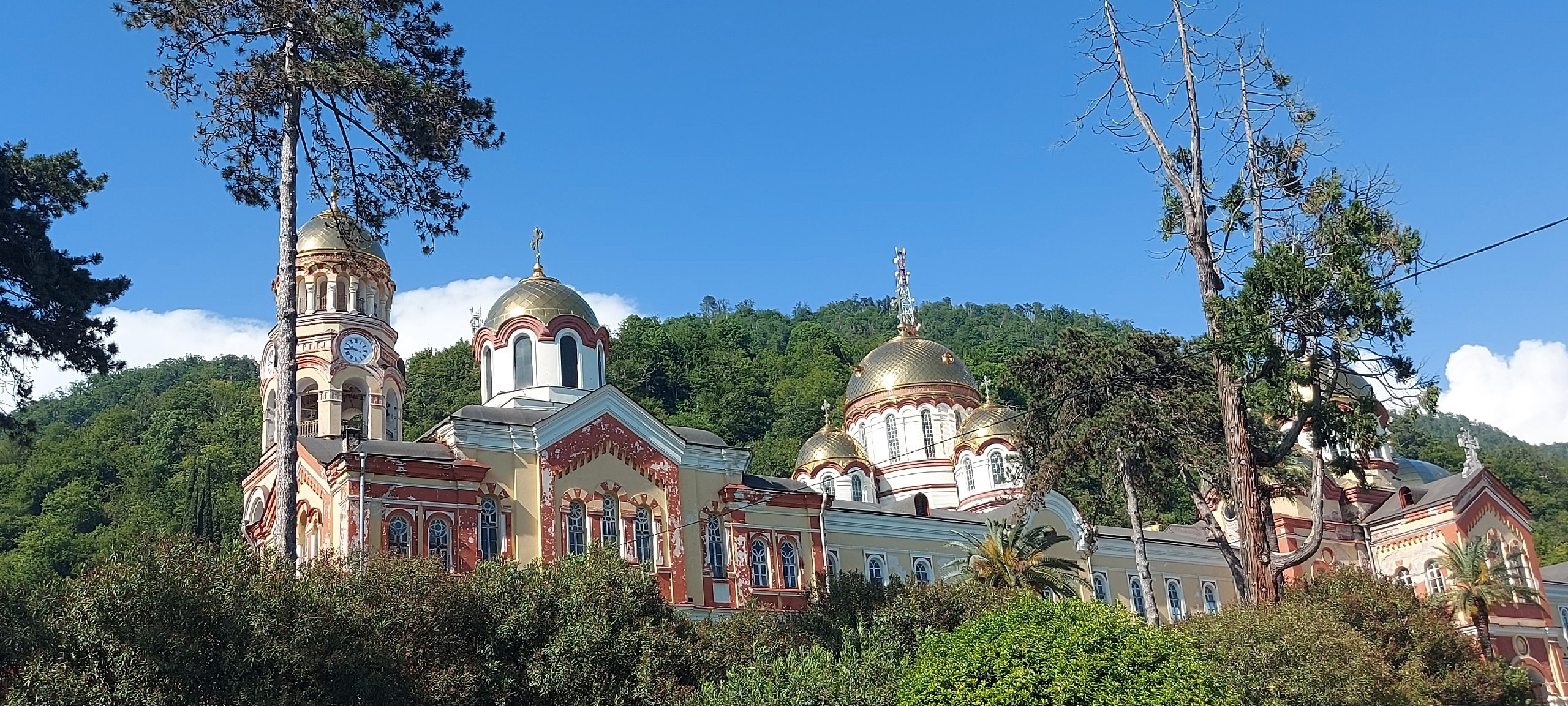 Разнообразная Абхазия ! 3 дня (32/36)