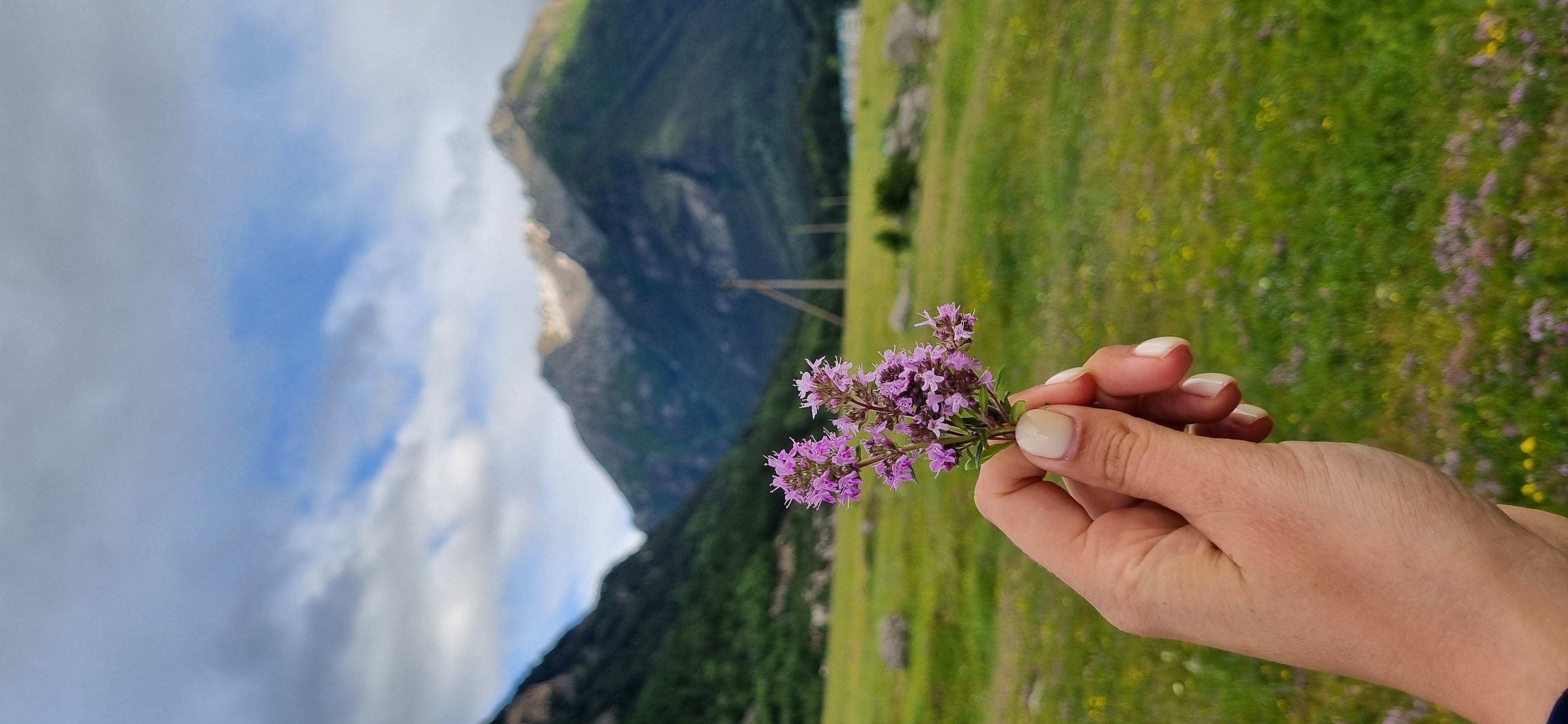 Домбай-Эльбрус: 5 ярких дней в горах!