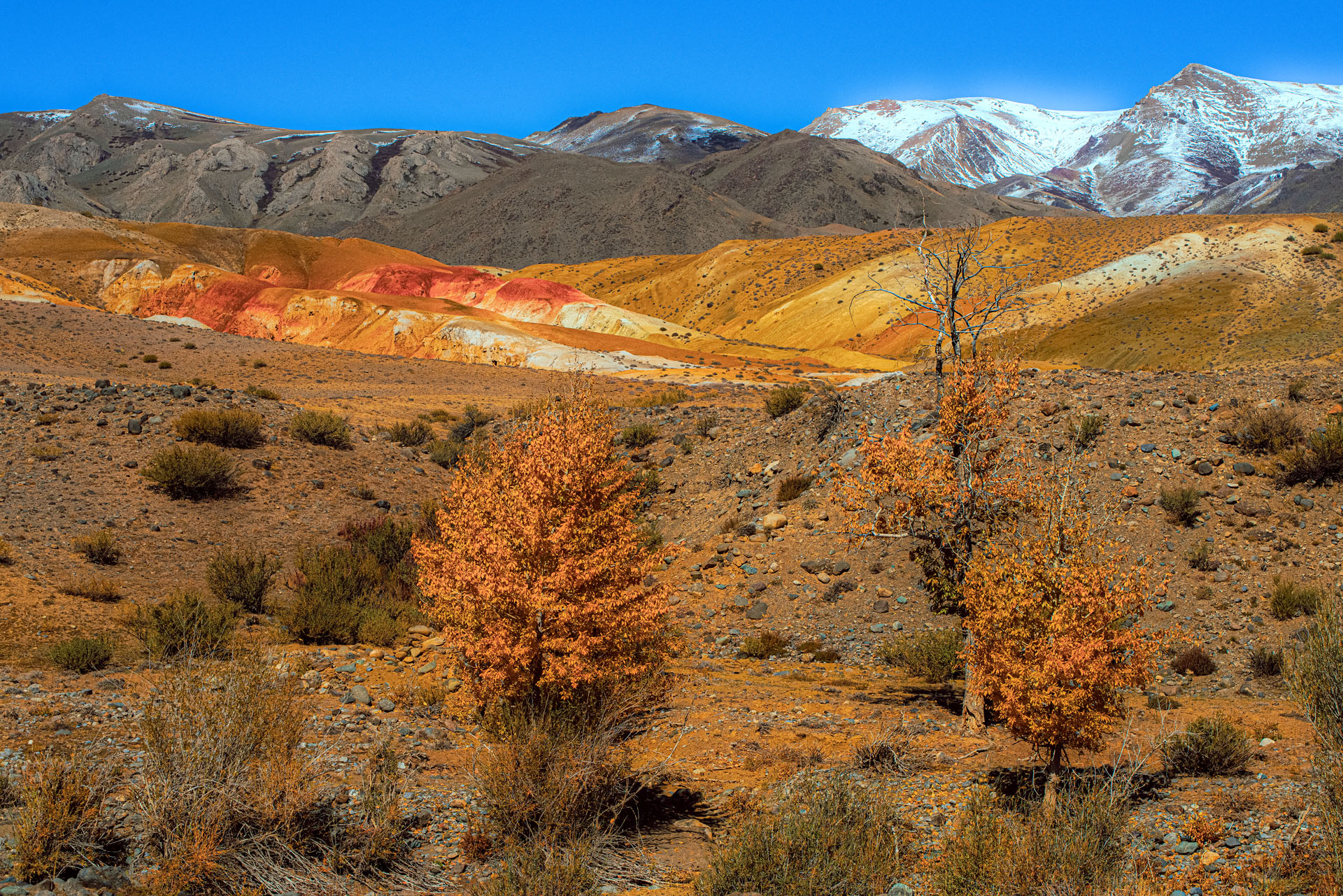 Золотая осень Алтая (16/58)