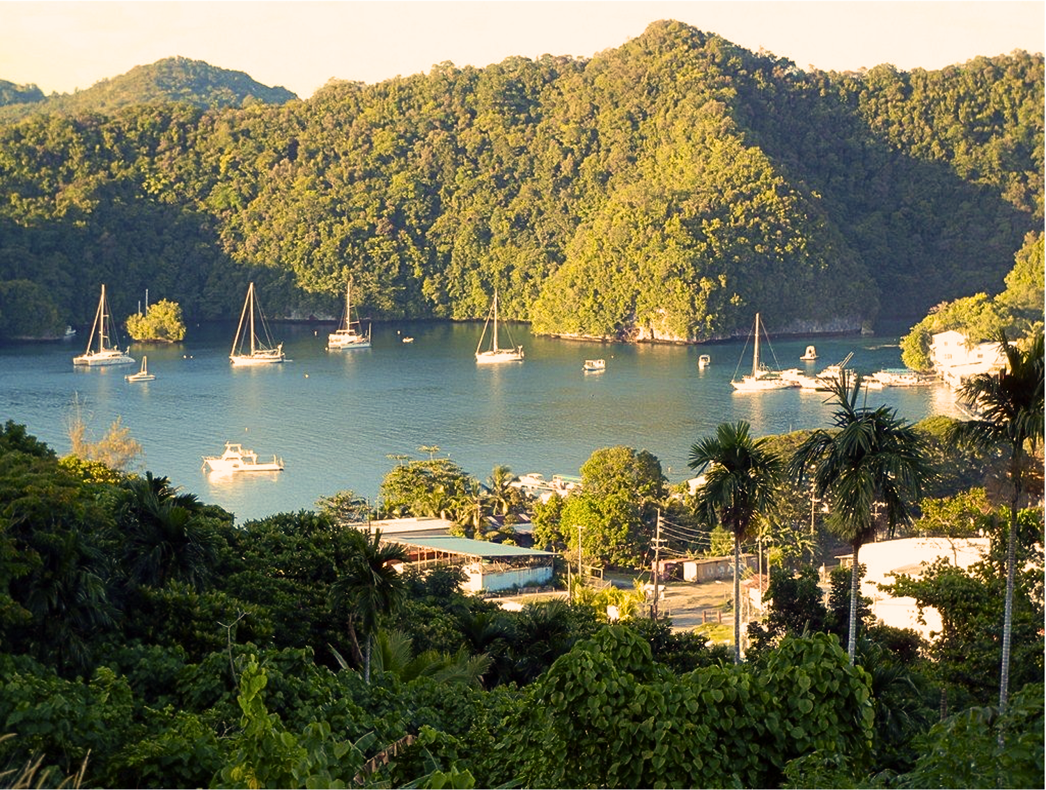 Палау: дайвинг-сафари на Black Pearl (14/14)