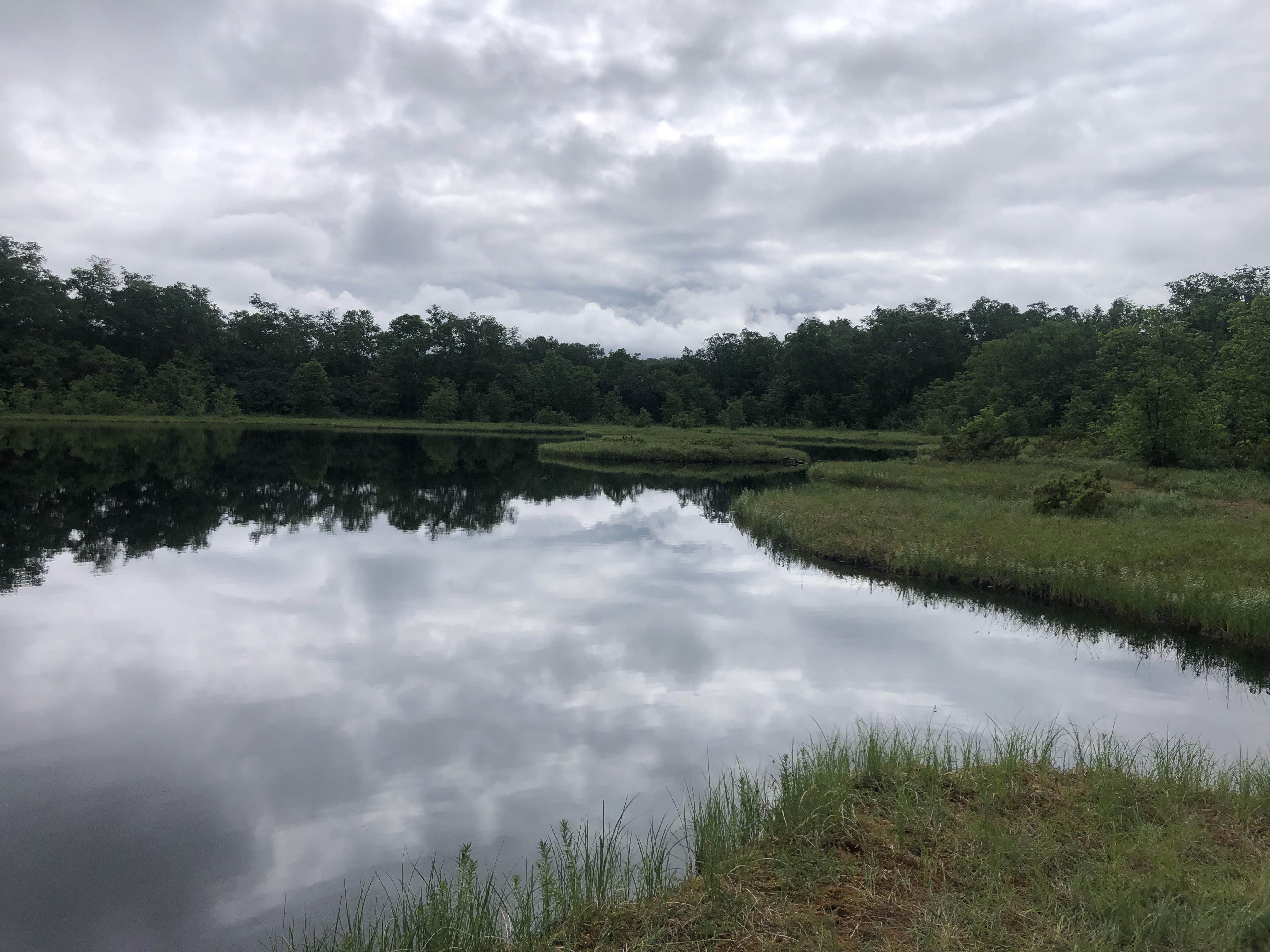 Джип-тур: На поиски медведя(Тур для компании 1-5 чел. одна цена) (9/11)