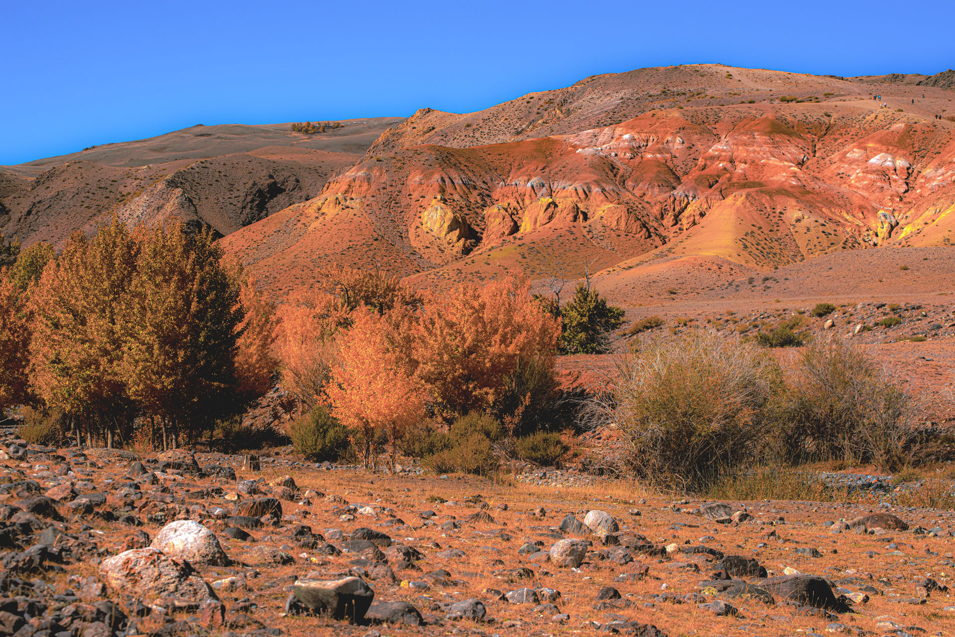 Золотая осень Алтая (15/58)