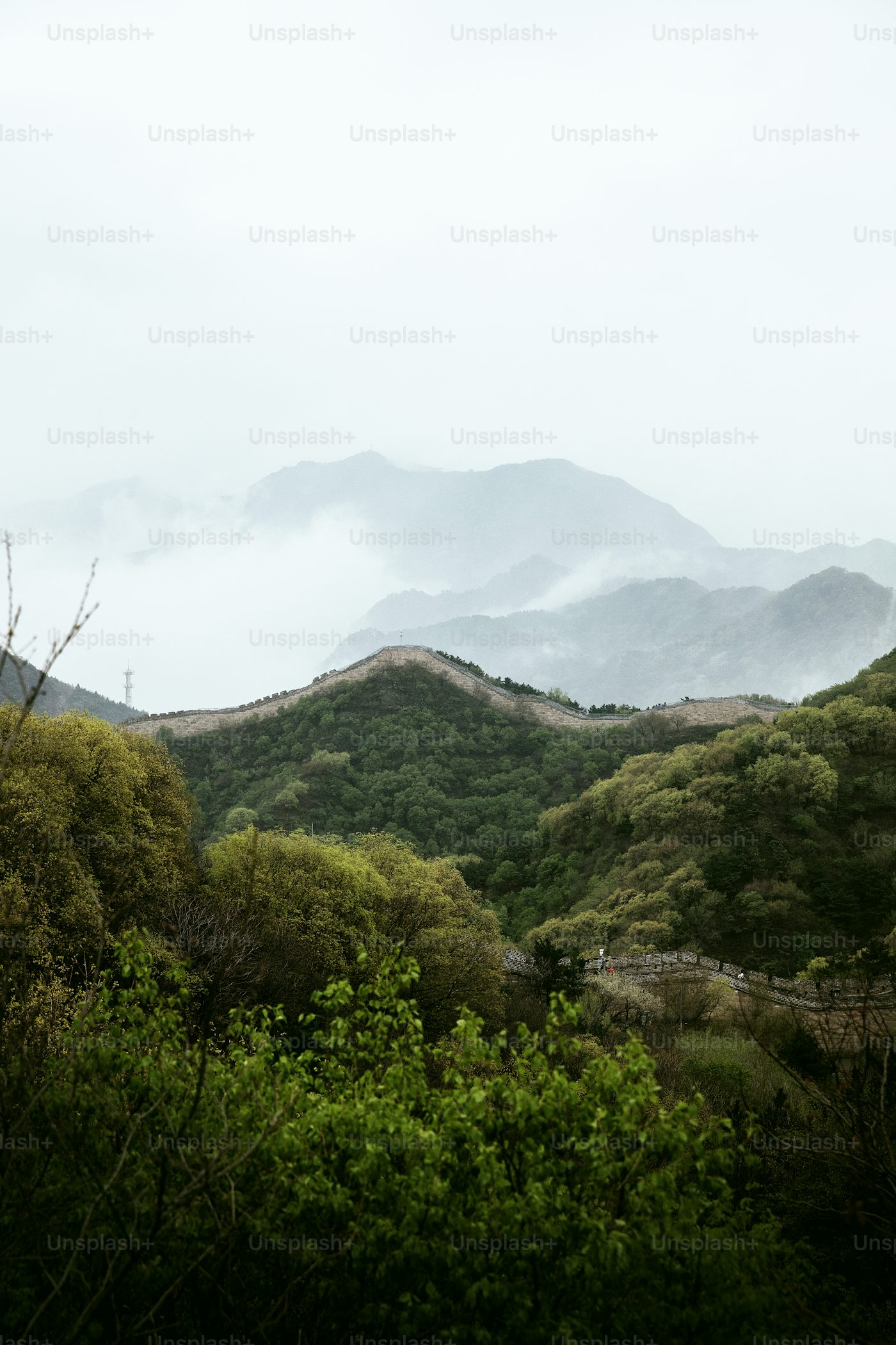 Чайное путешествие по провинции Юньнань с дегустацией знаменитых сортов чая (16/26)