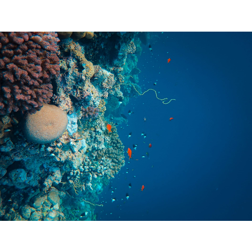 Сказочные острова Мальдивы за 1 день и 2 ночи (12/13)