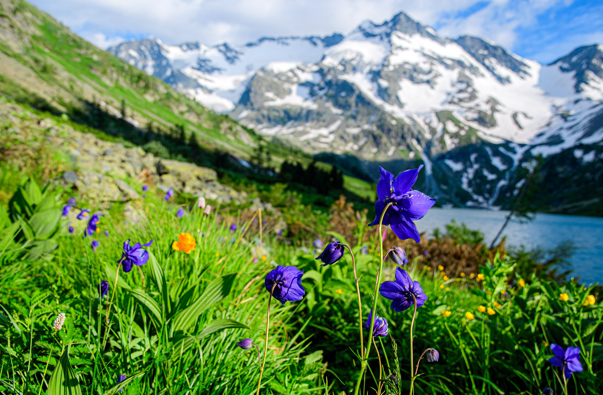 Горный Алтай. Мультинские озера (21/50)