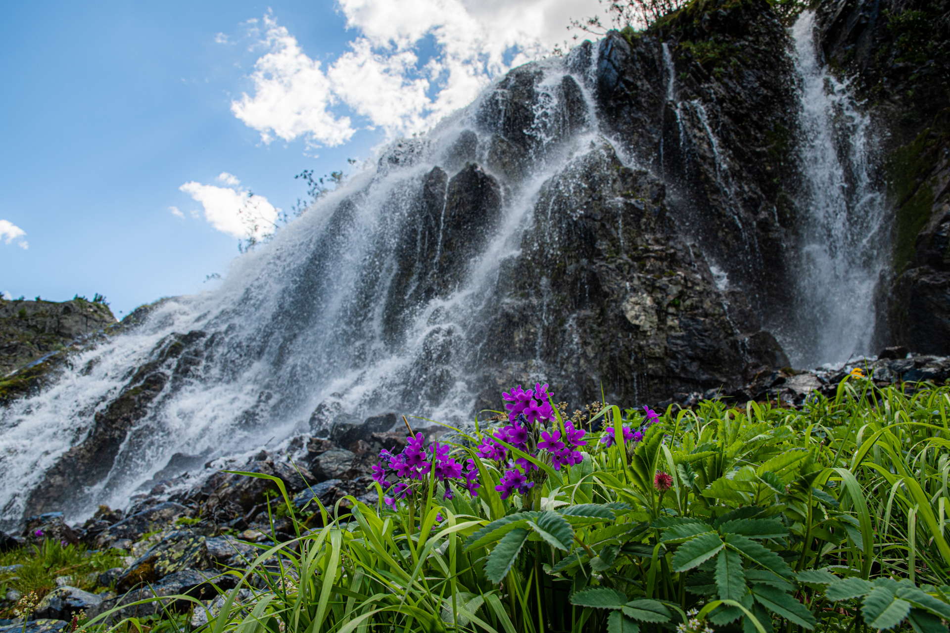 Горный Алтай. Мультинские озера (20/50)