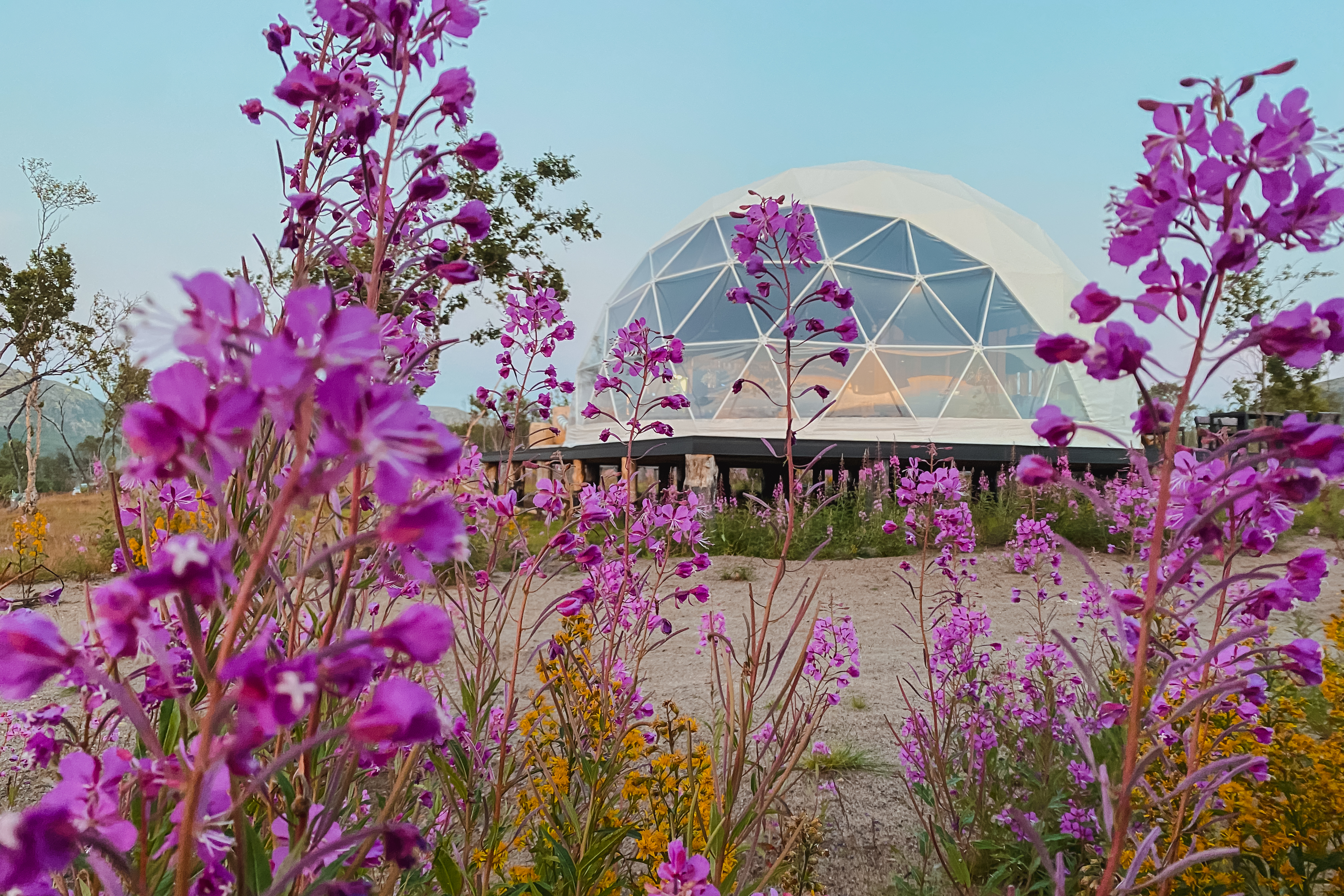 Гастротур Северные Мальдивы (8/11)