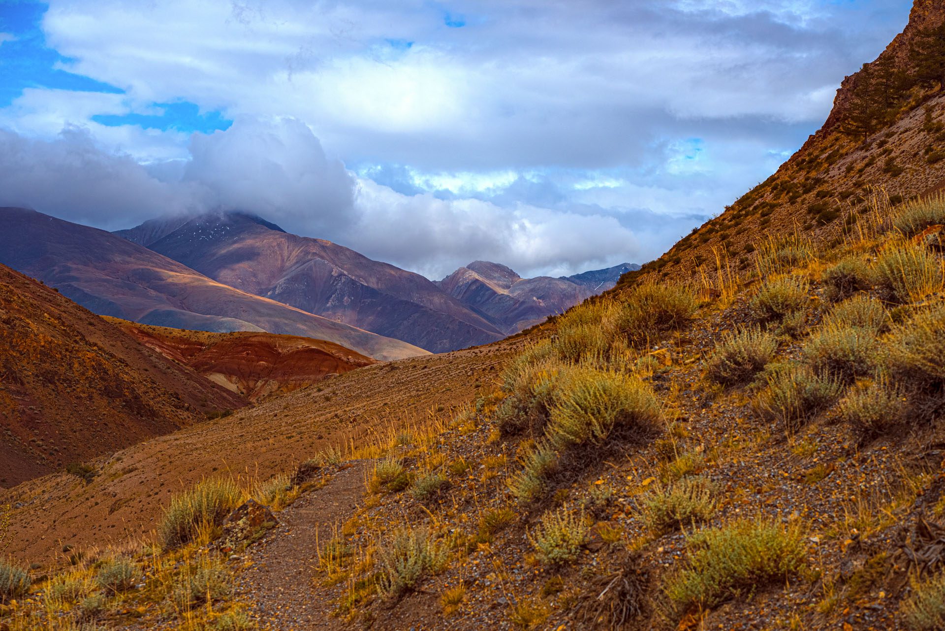 Золотая осень Алтая (44/58)