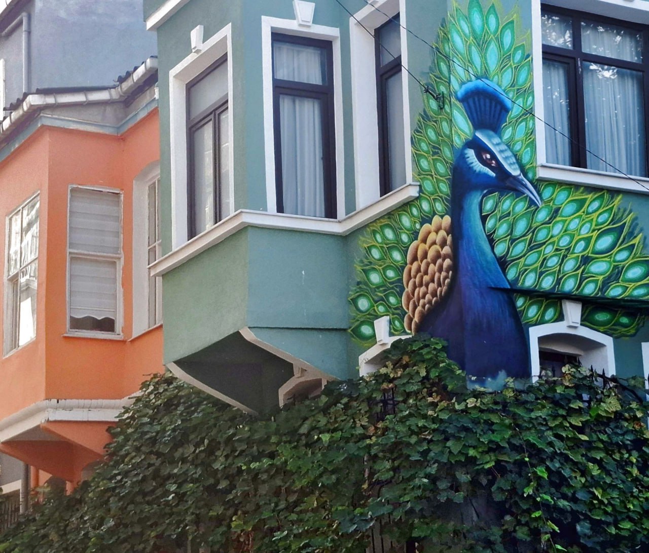 Стамбульские каникулы! Самое лучшее и интересное за 4 дня! (12/47)