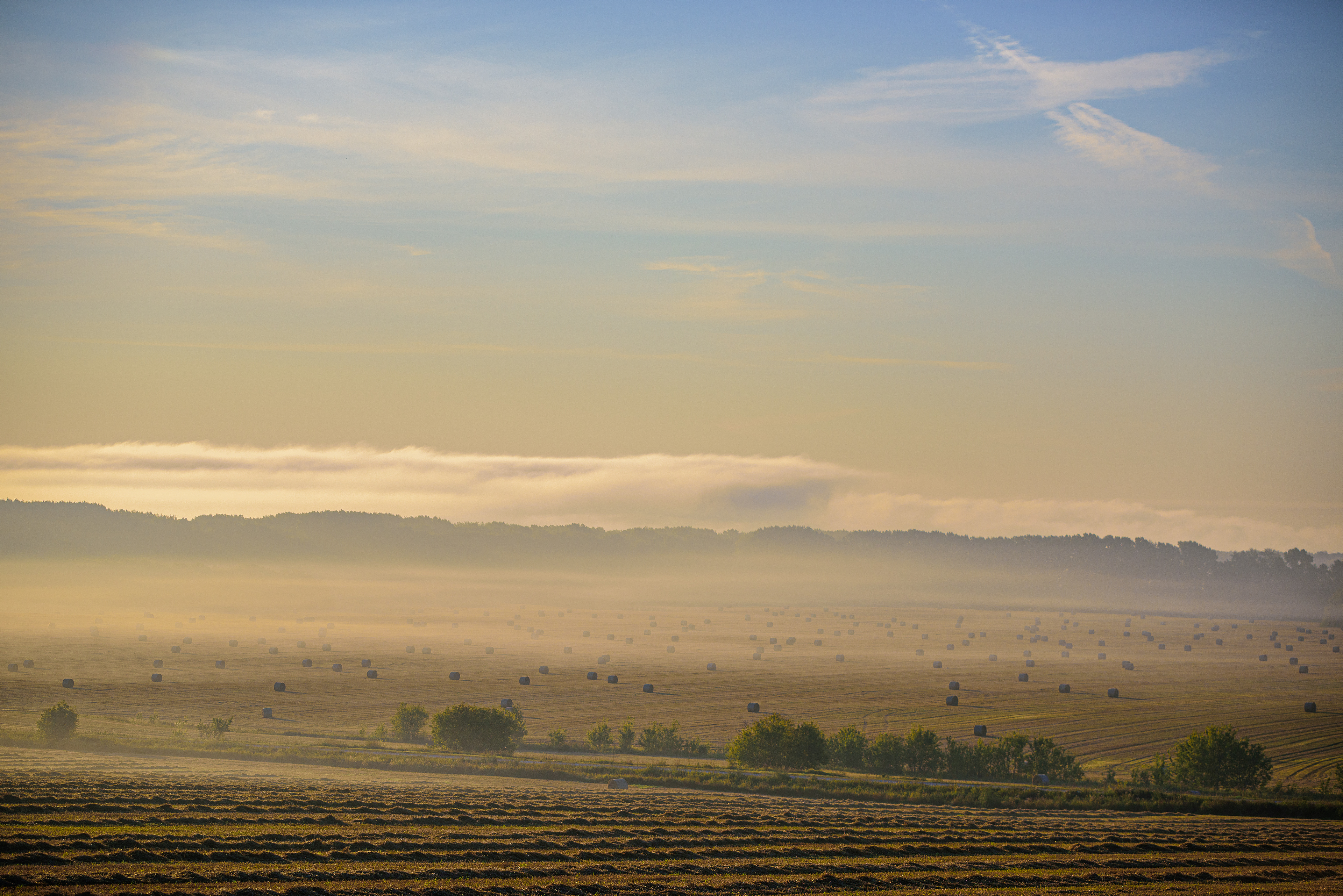 Золотая осень Алтая (28/58)