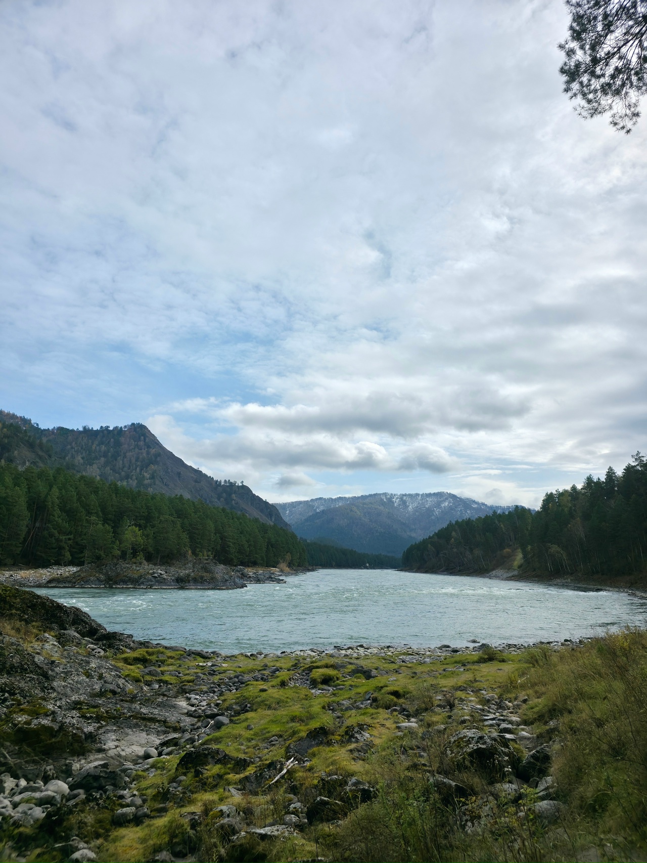 Ретрит йога тур на Алтай (2/29)
