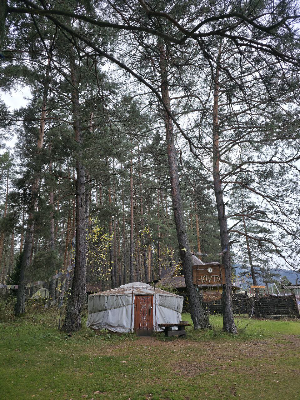 Ретрит йога тур на Алтай (8/29)