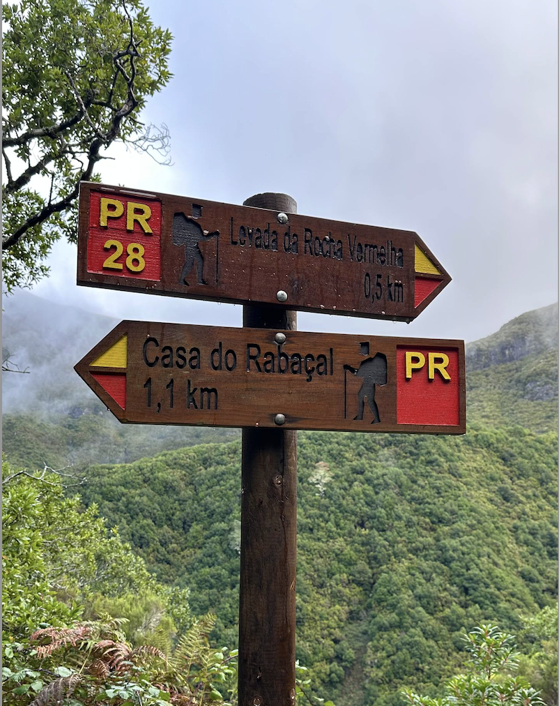 Левады и вулканические бассейны