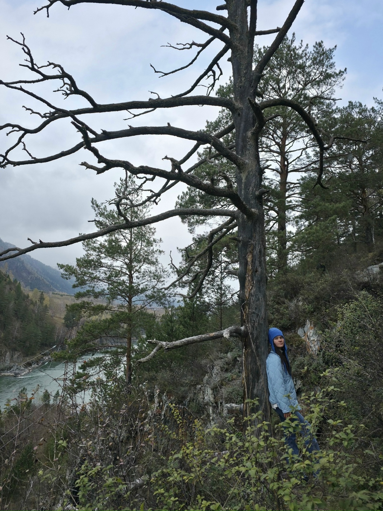 Ретрит йога тур на Алтай (3/29)