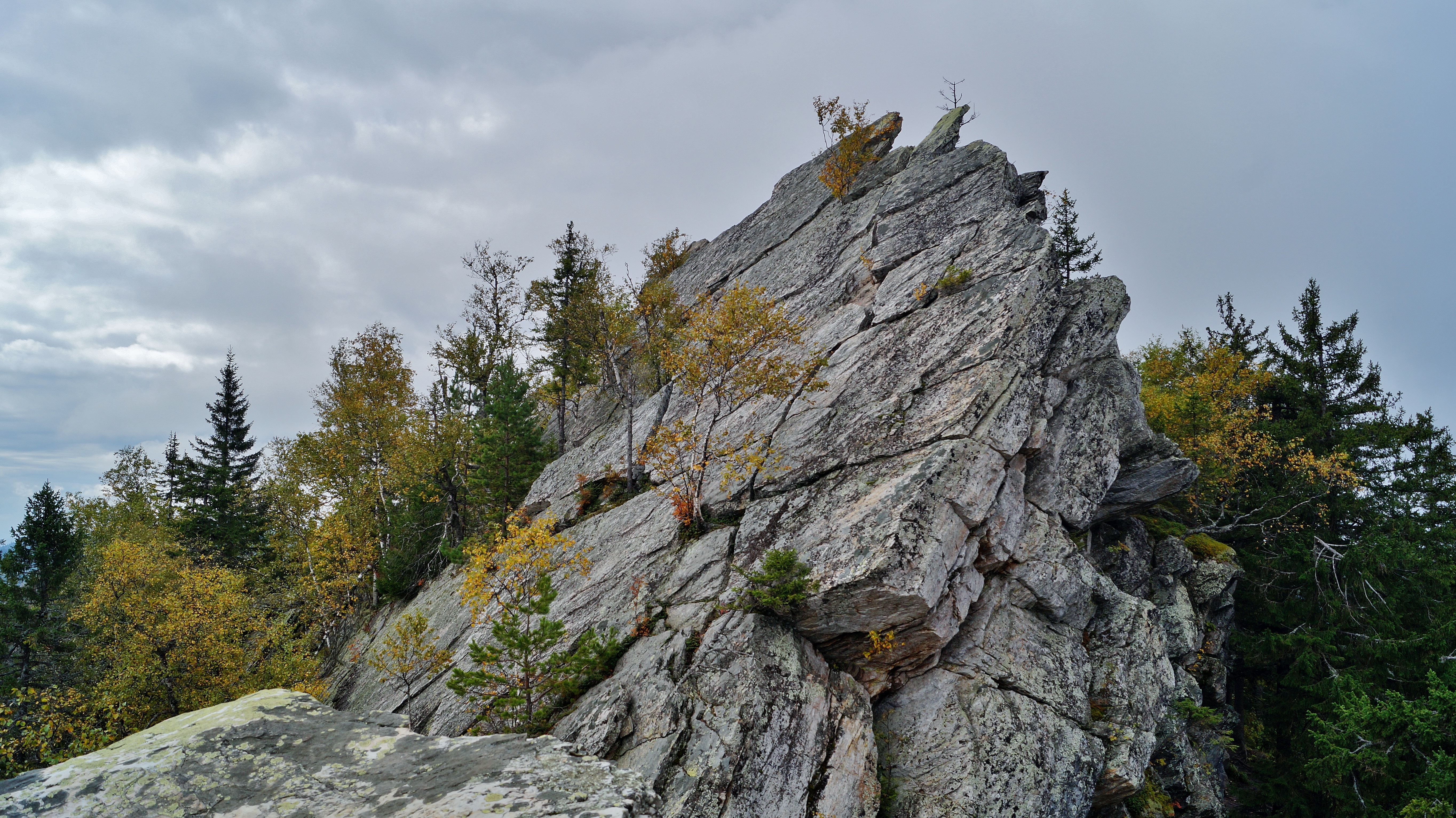 Урал заповедный (23/24)