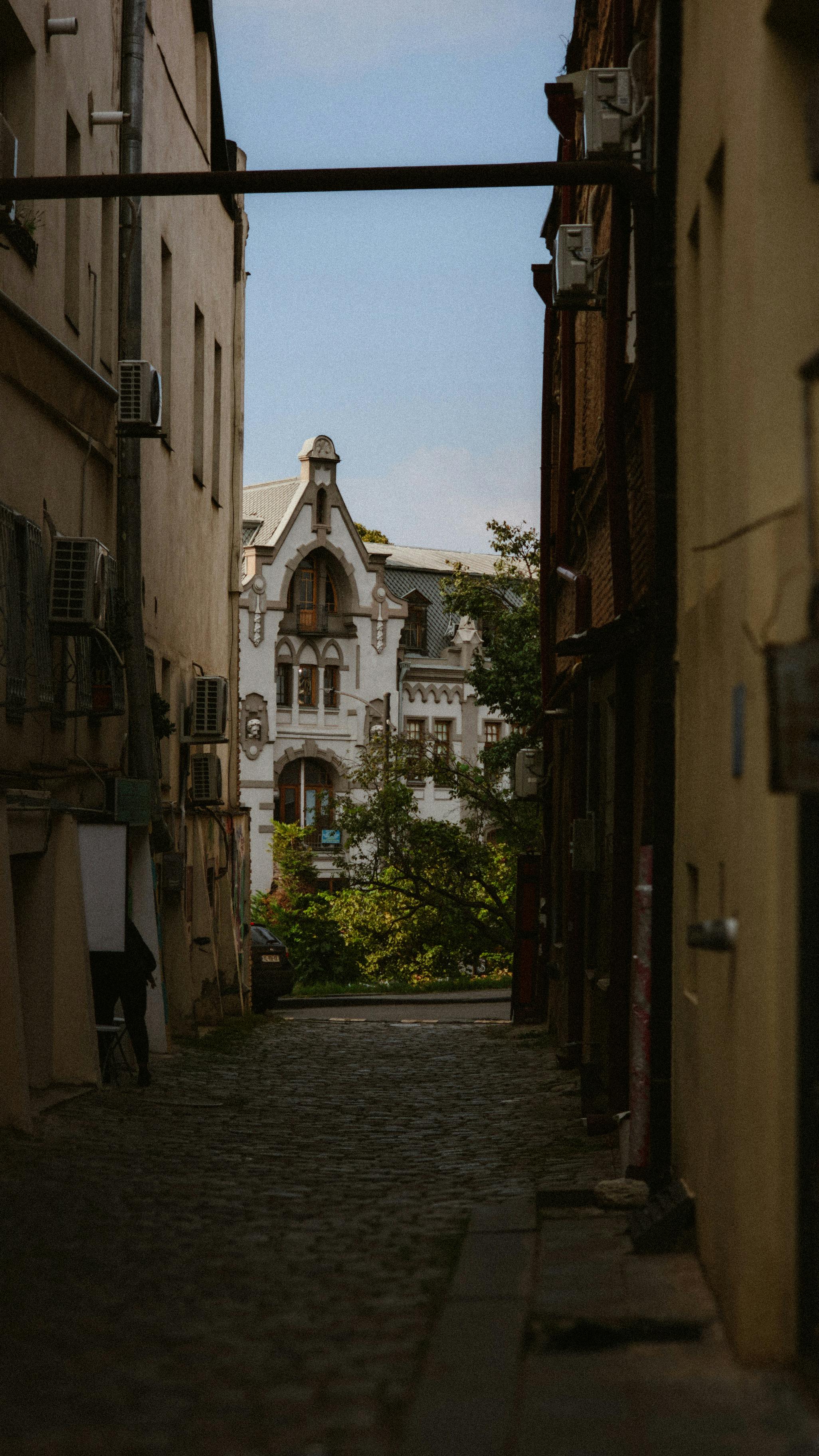 Грузия: вино, горы и море (3/24)