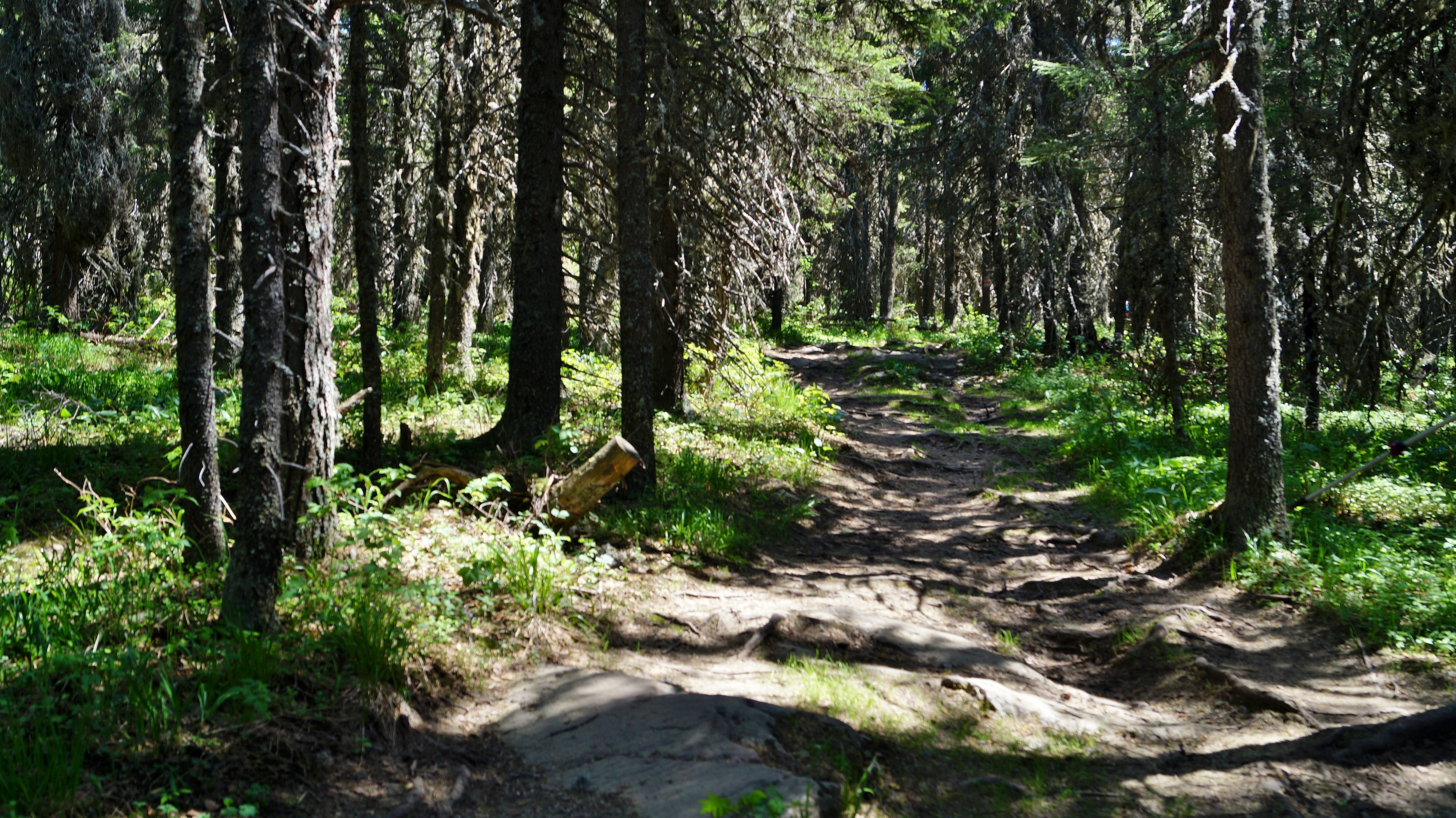Урал заповедный (18/24)
