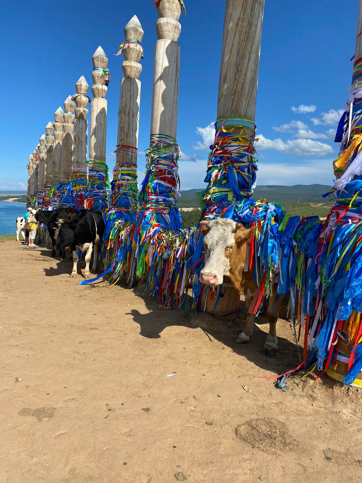 Байкал и Саяны, 6 дней