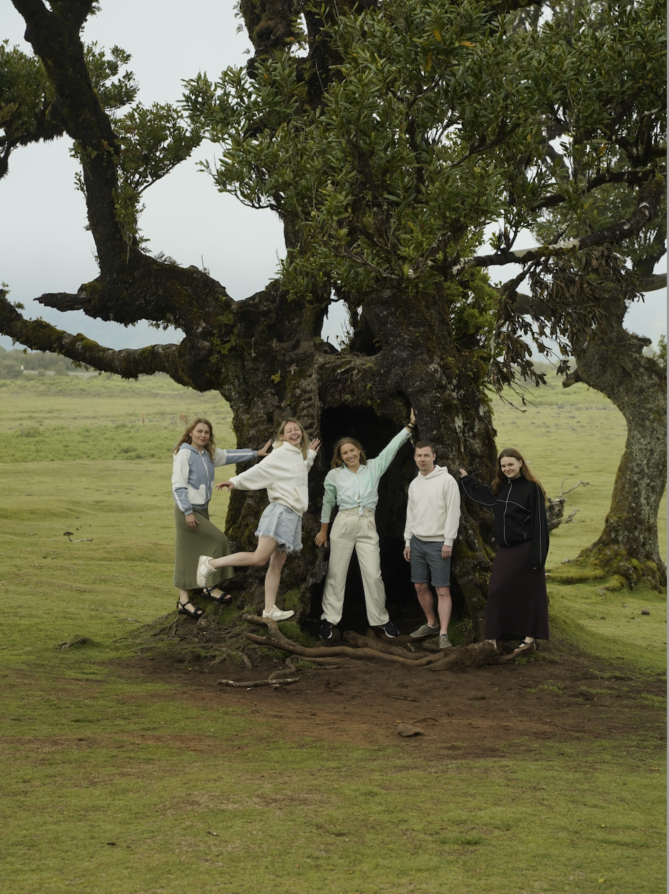 Реликтовый лес Фанал и пляж с черным песком