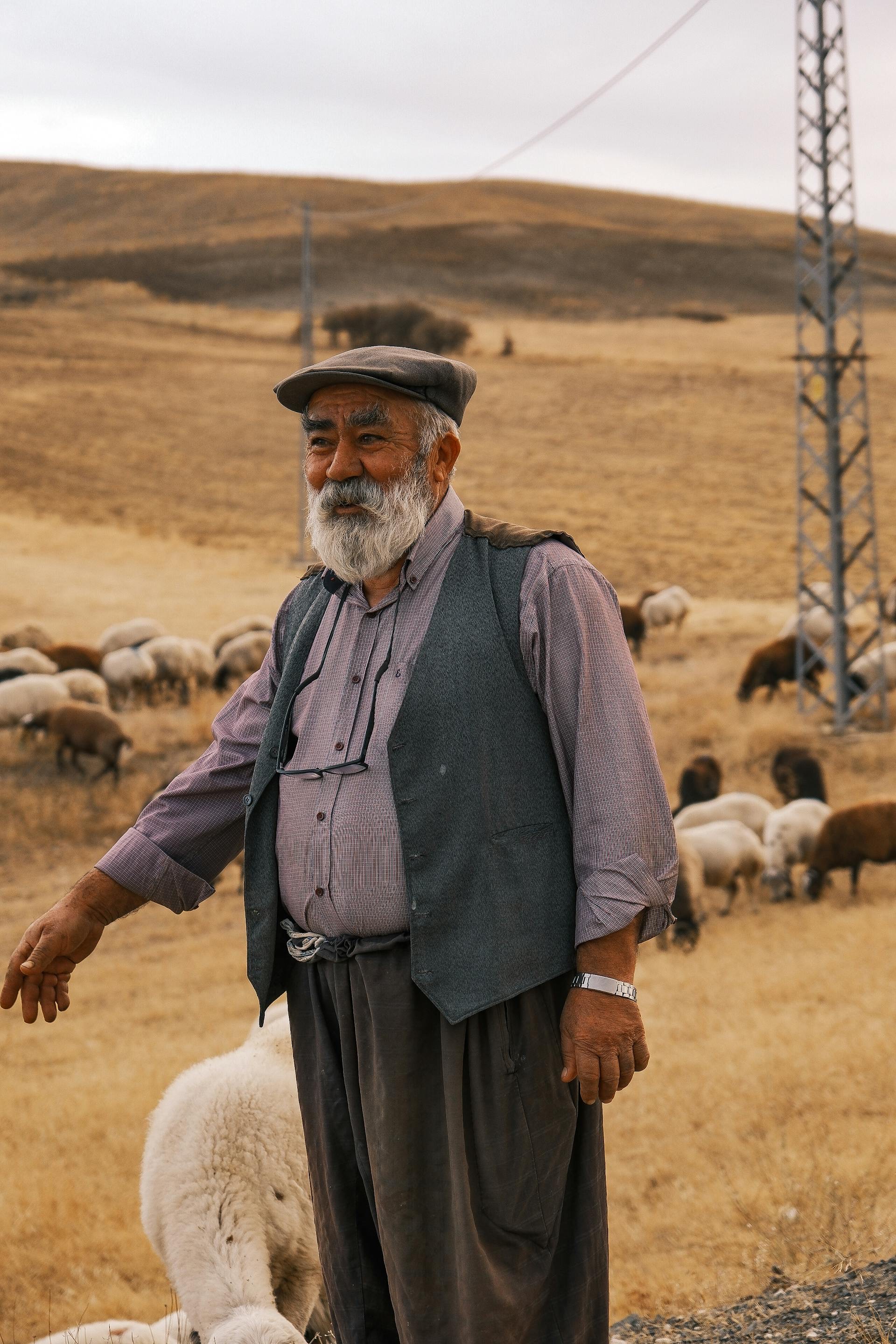 Армения. Вкус традиций и красота гор (8/24)