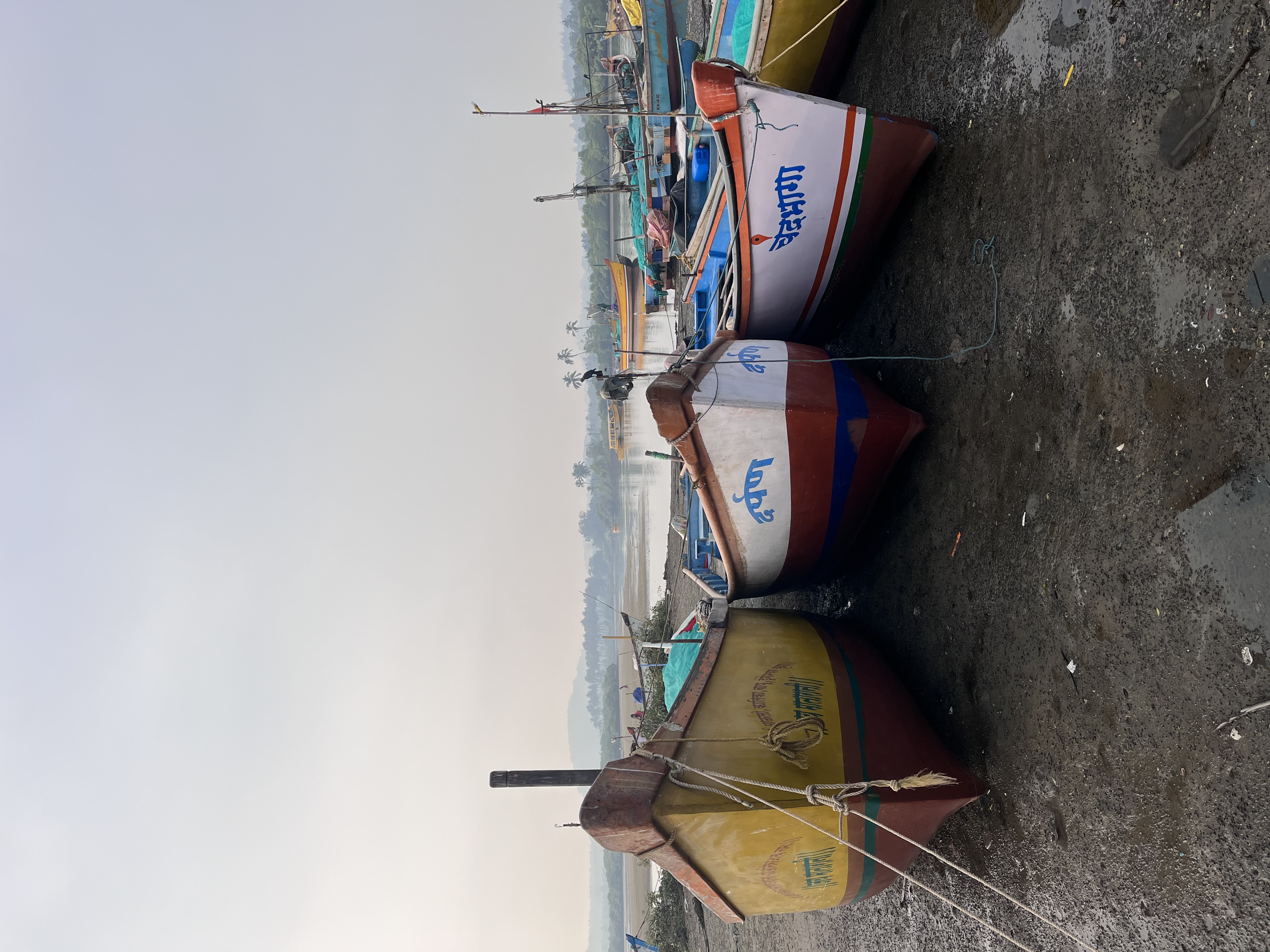 Гоа от Юга до Севера за 7 дней (10/21)