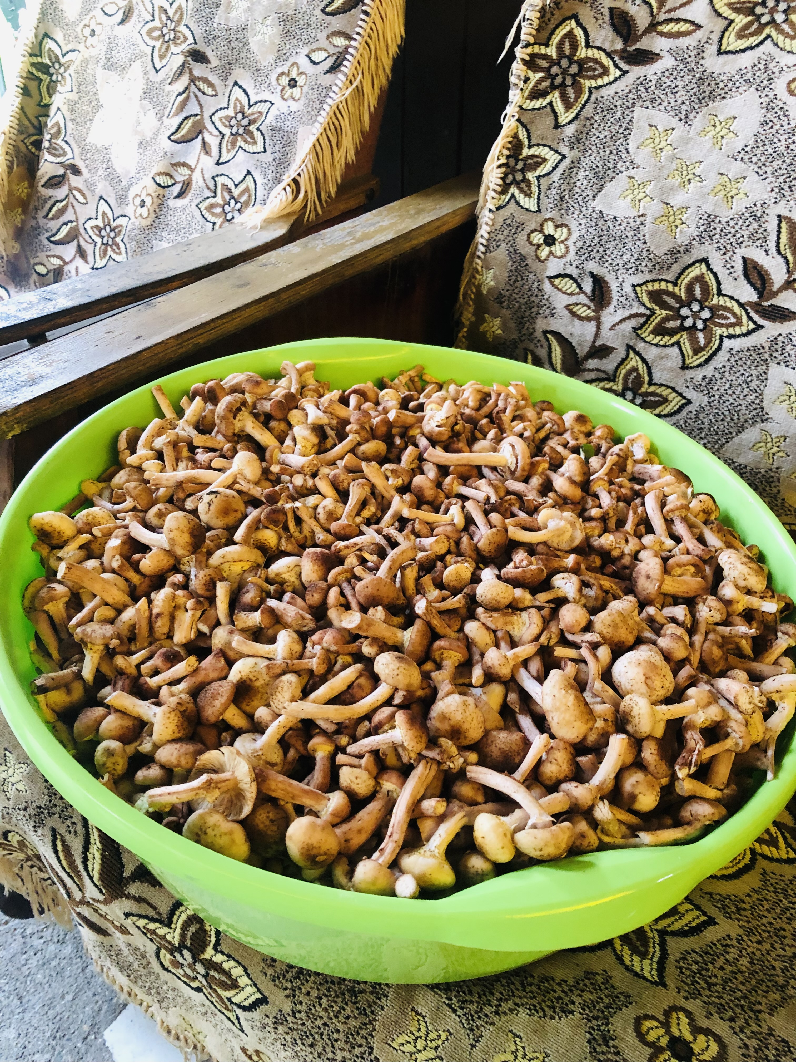 Ты Любовь - Алтайское Путешествие Со Смыслом (89/142)