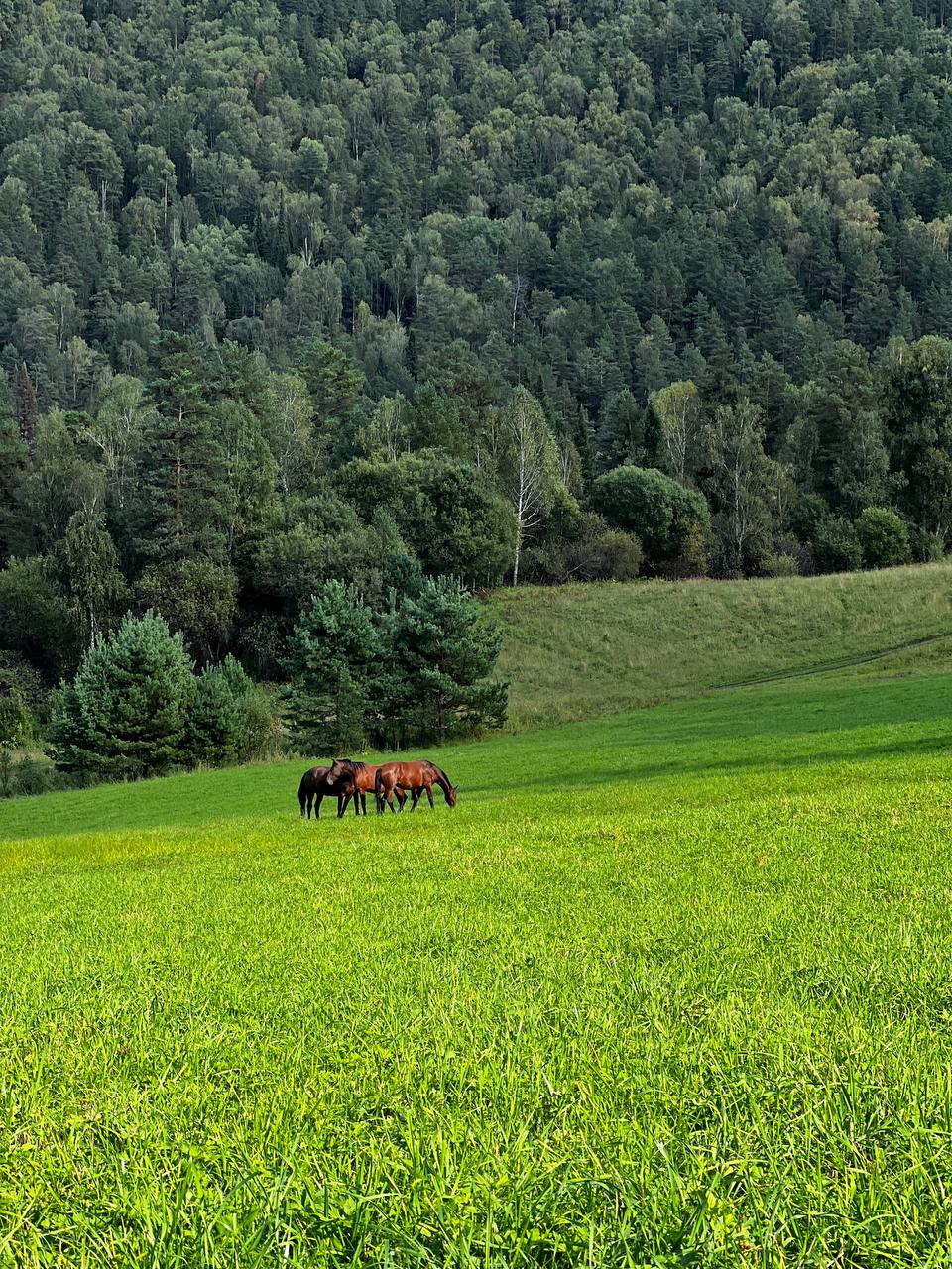 Ты Любовь - Алтайское Путешествие Со Смыслом (95/142)