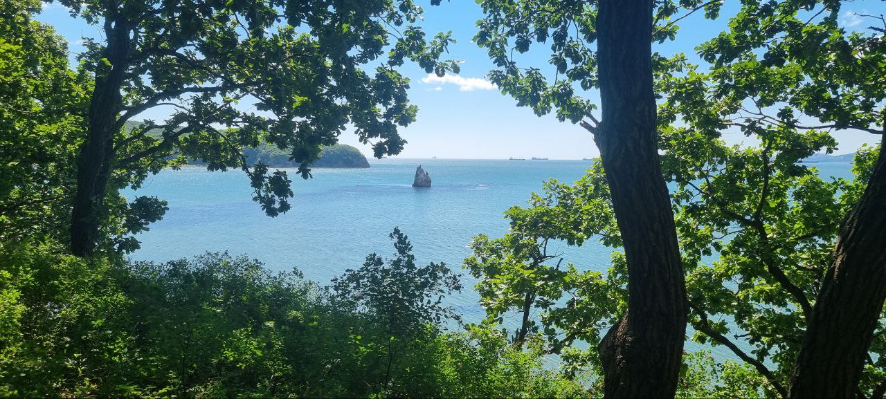 Приморский микс (лето) (12/15)