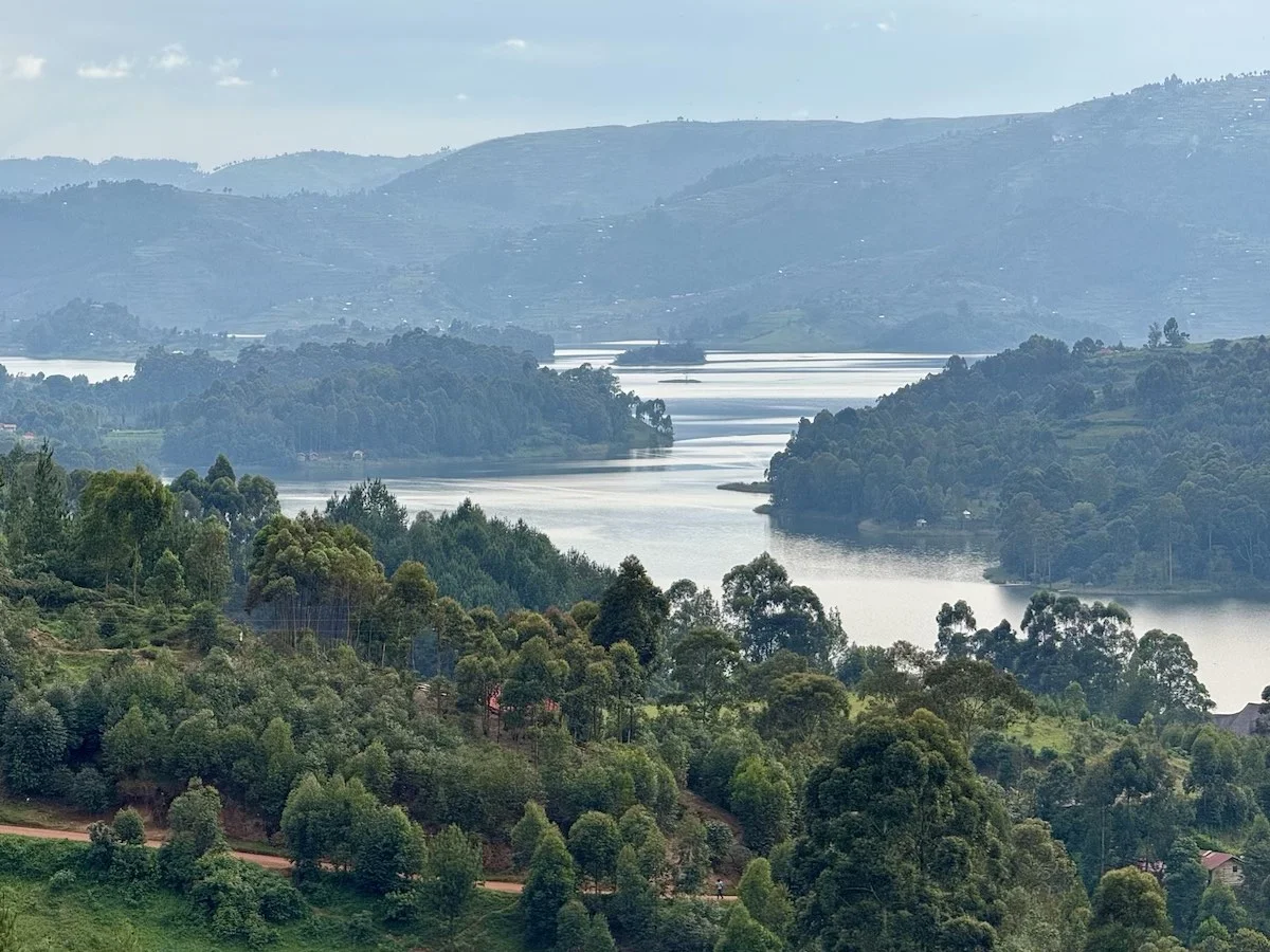 Уганда и Руанда - зеленое сердце Африки с уникальными животными и природой (39/42)