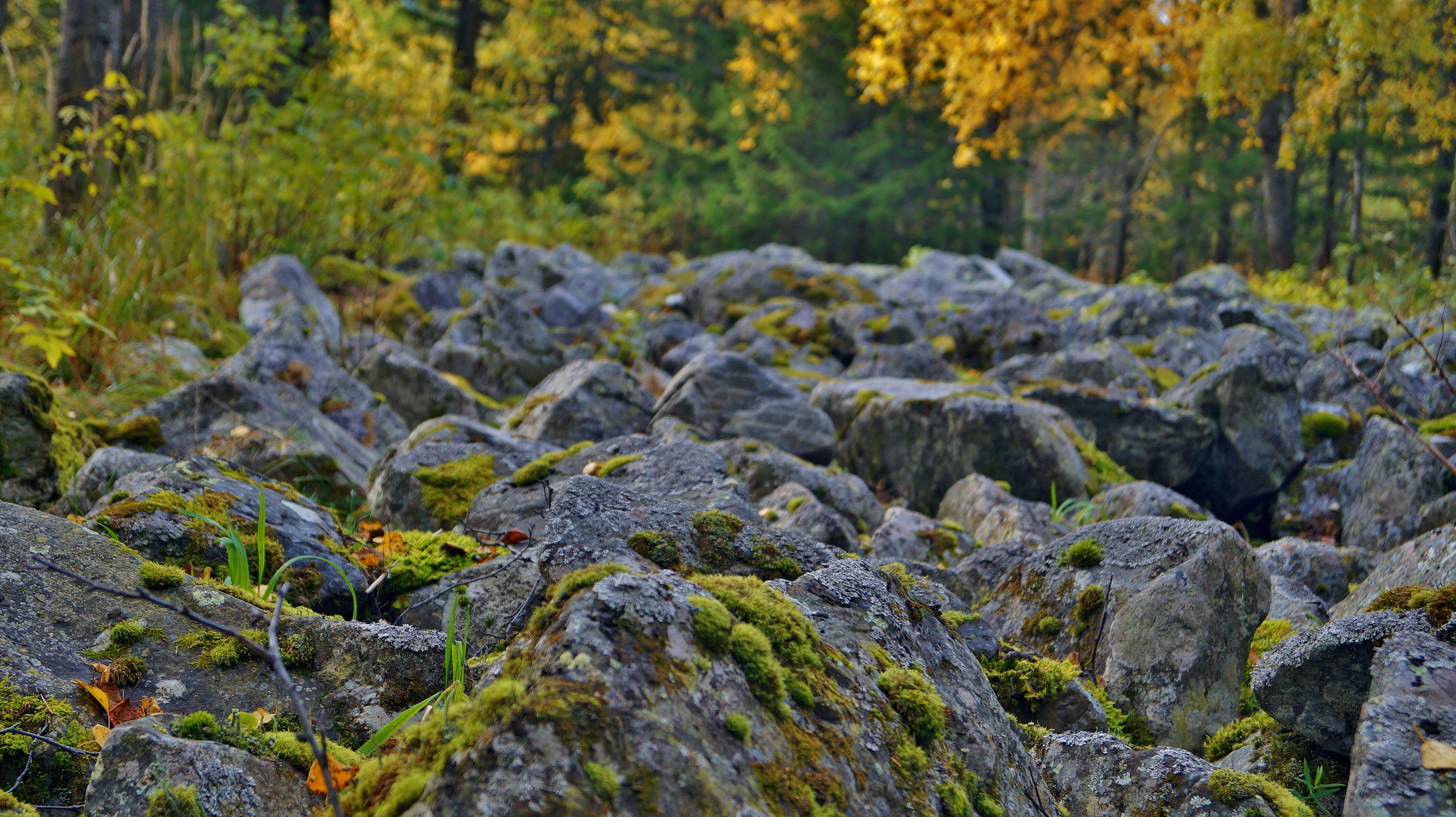 Урал заповедный (14/24)