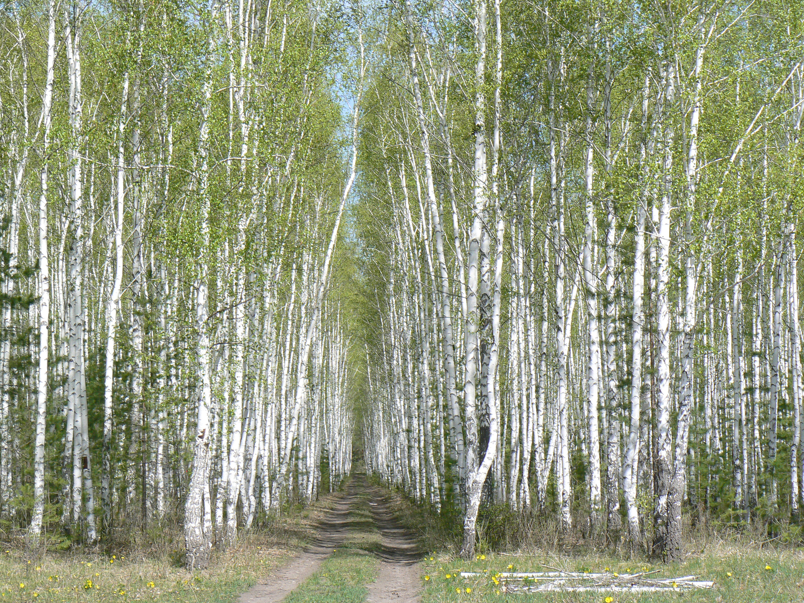 Хваникулы или  перезагрузка в Хвалынске (8/19)