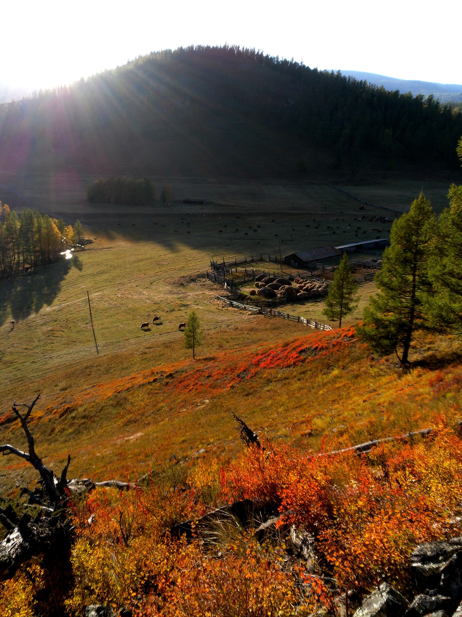 Все краски Алтая, 5 дней