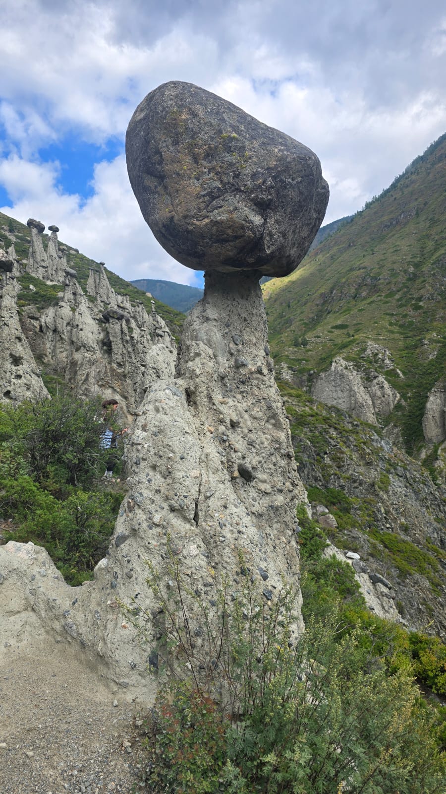 Алтай без границ (6/15)