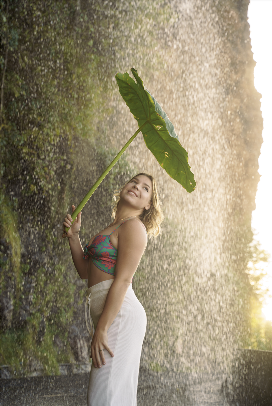 Левады и вулканические бассейны