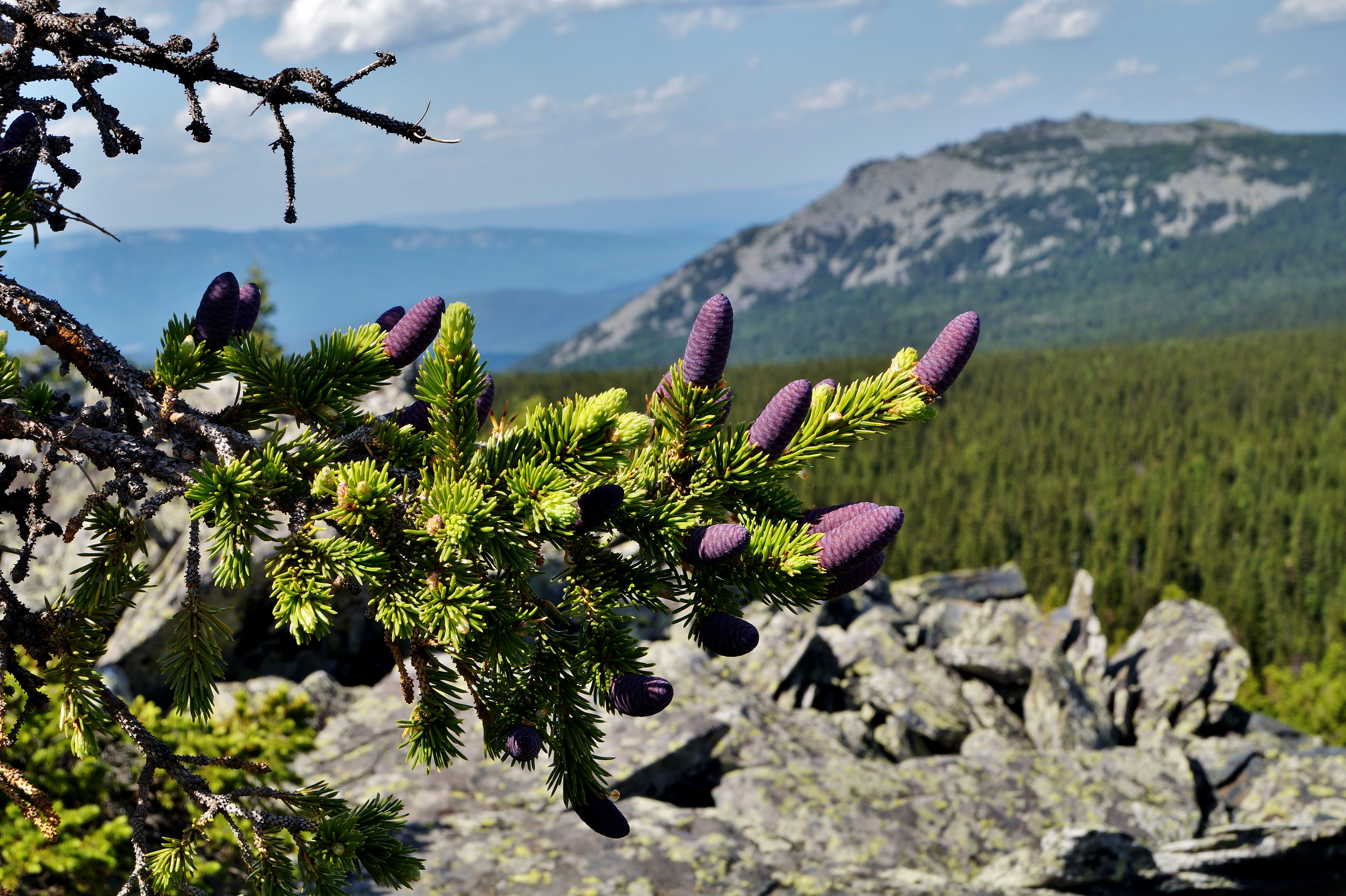 Урал заповедный (16/24)