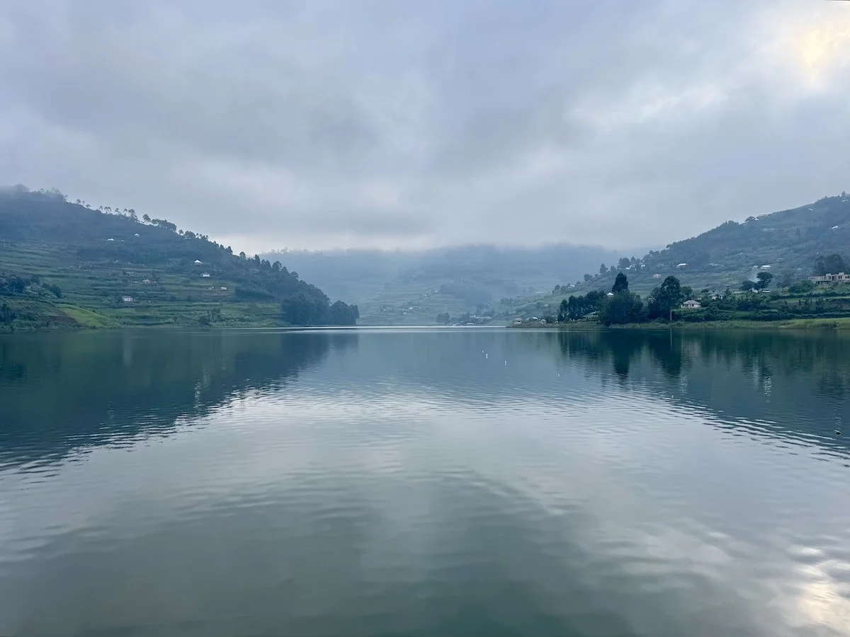 Уганда и Руанда - зеленое сердце Африки с уникальными животными и природой (40/42)