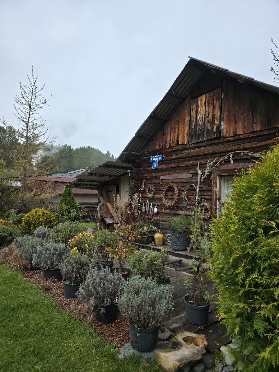 Ретрит йога тур на Алтай (9/29)