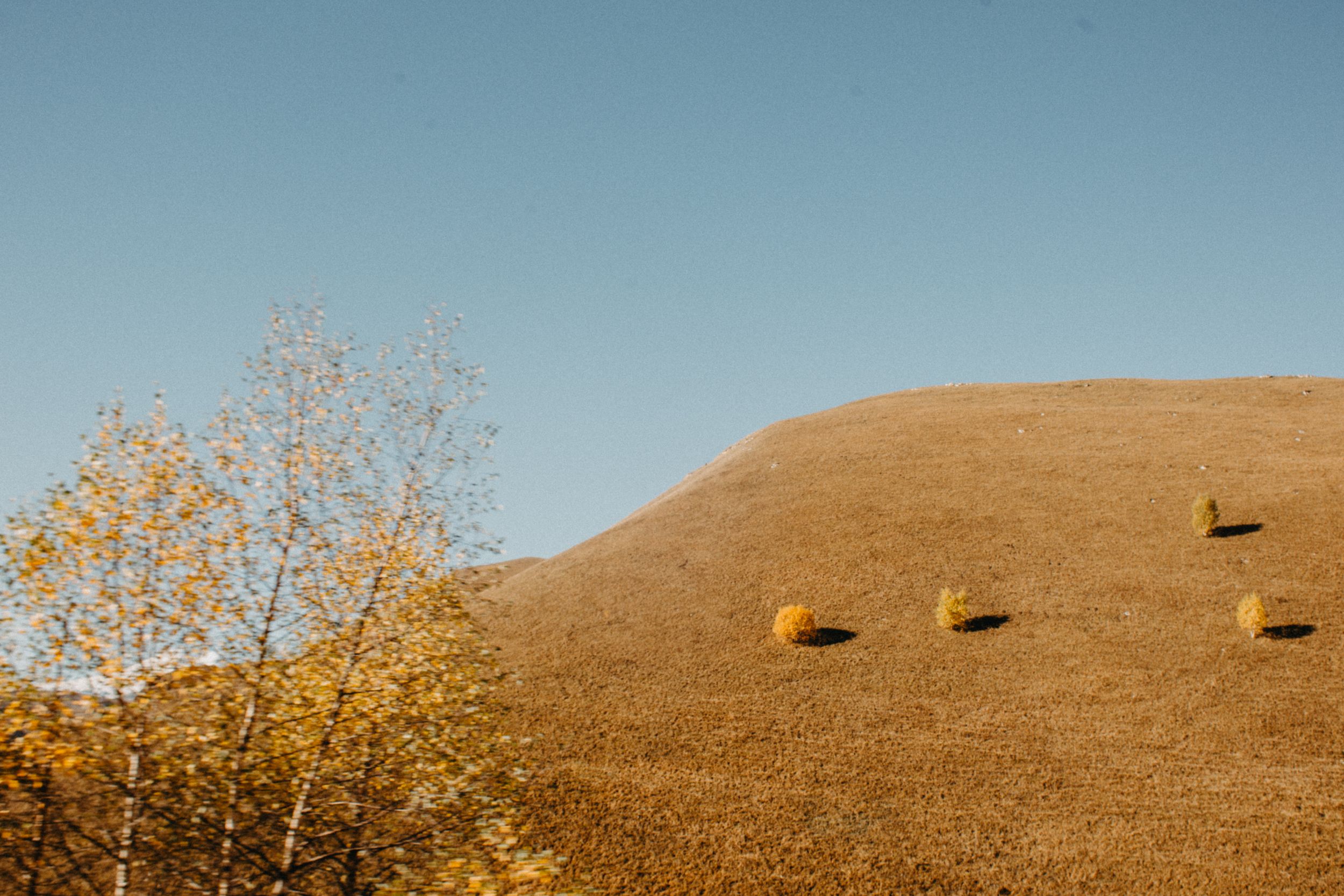 Фотопутешествие Осенний Кавказ 5-10 Октября (41/50)