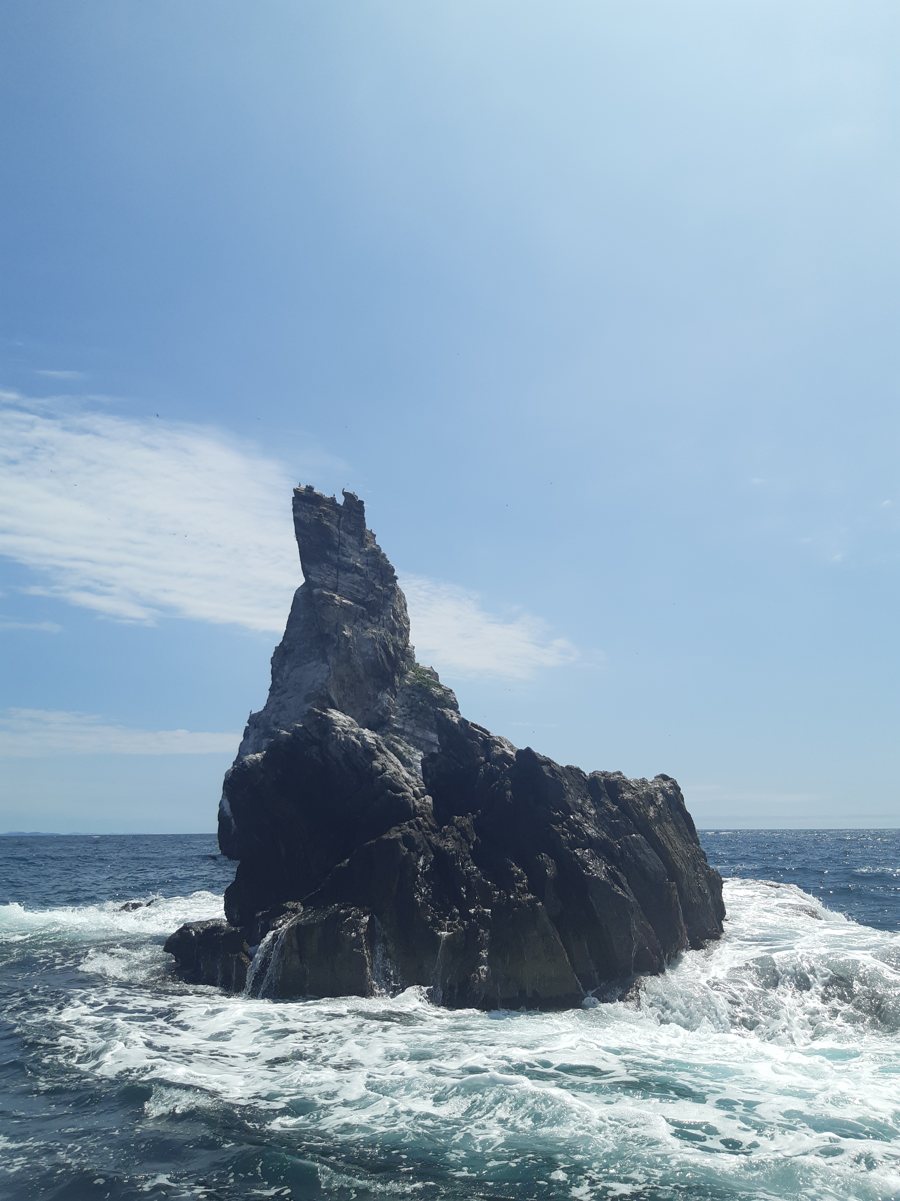 Приморский микс (лето) (6/15)