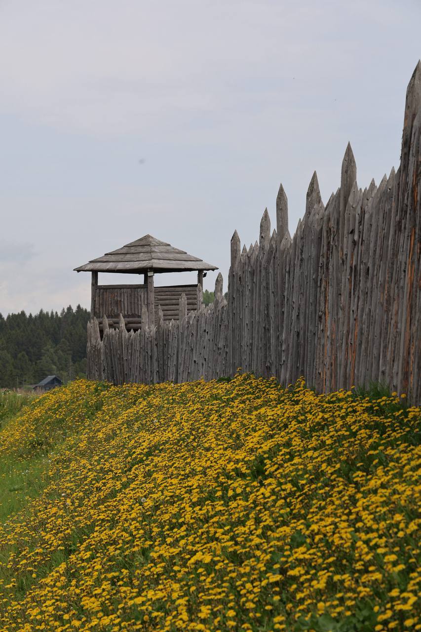 Приватный Девичник в Карелии. Комфорт тур: Воздушный шар, Отель на берегу, Ретропоезд (21/41)