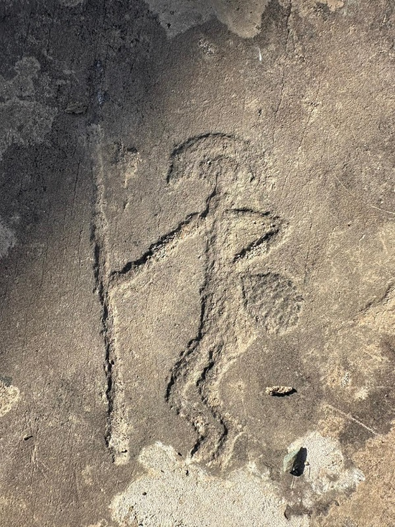 Алтай - Земля Духов + (4/15)