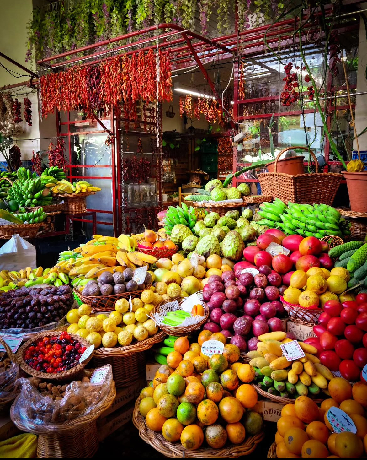 Мадейра: 7 дней исследования острова